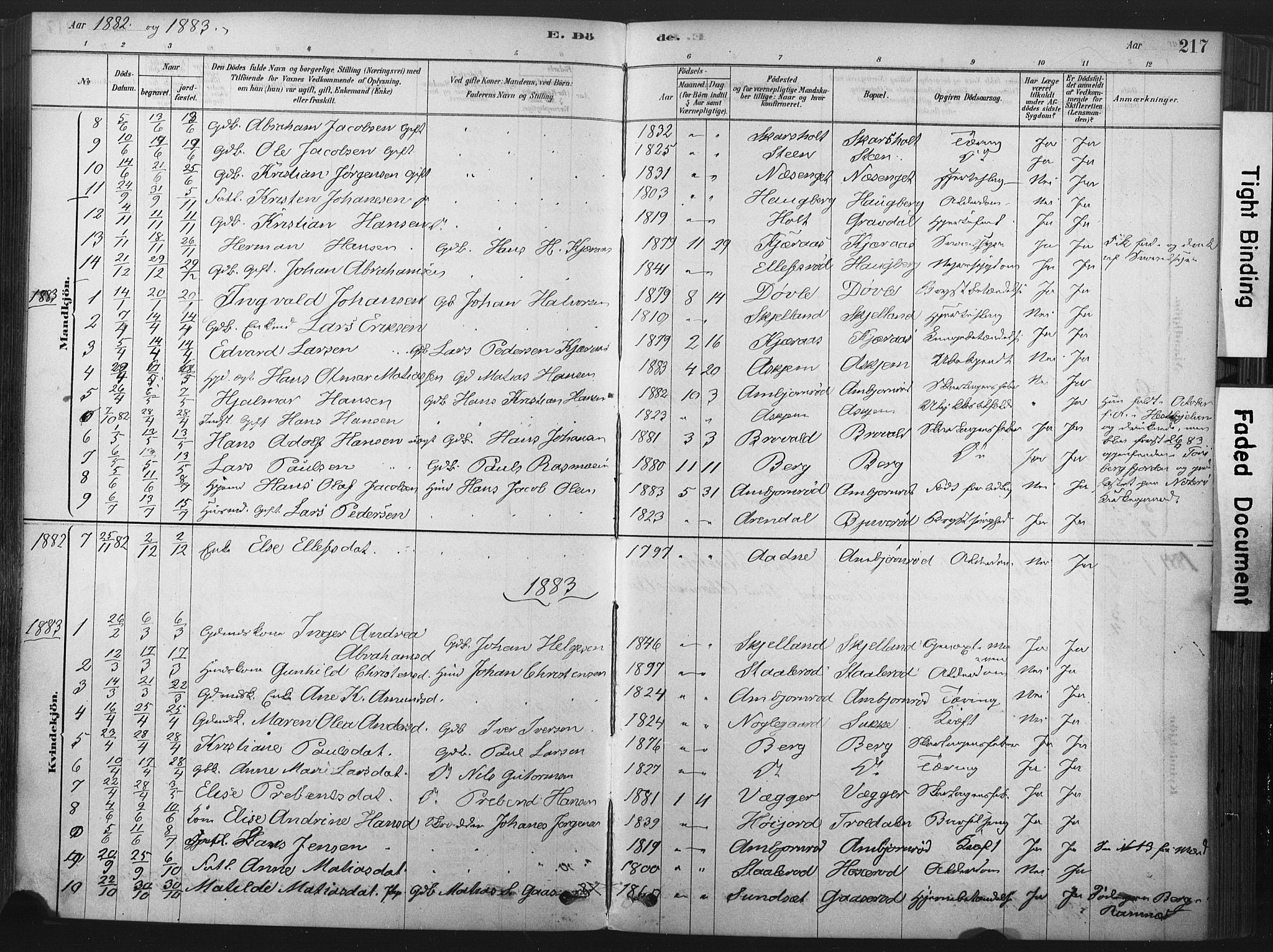 Andebu kirkebøker, AV/SAKO-A-336/F/Fa/L0007: Parish register (official) no. 7, 1878-1899, p. 217