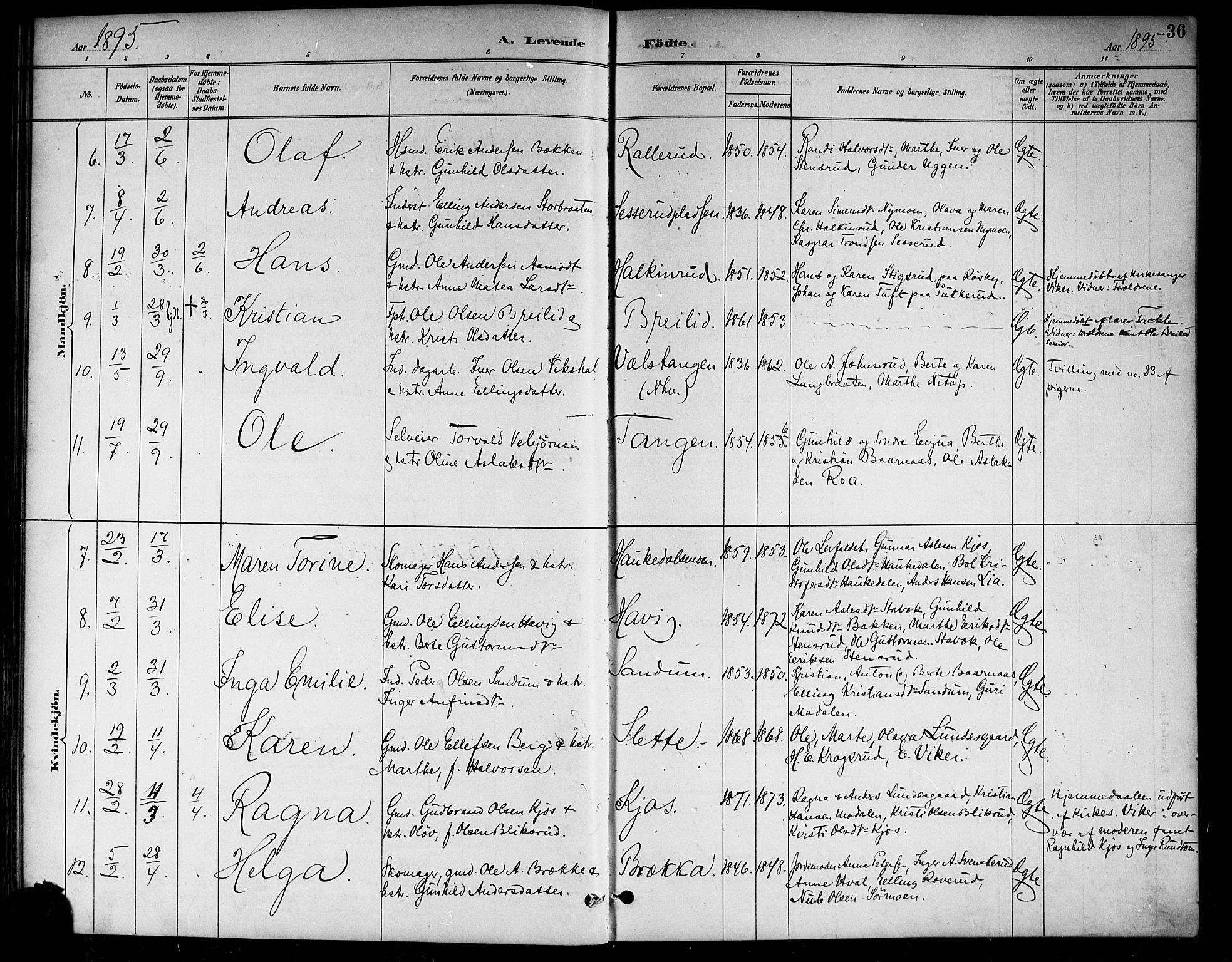 Lunder kirkebøker, AV/SAKO-A-629/G/Ga/L0004: Parish register (copy) no. I 4, 1889-1917, p. 36