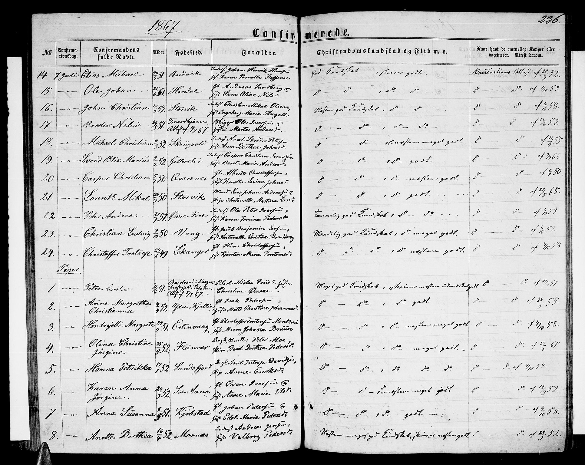 Ministerialprotokoller, klokkerbøker og fødselsregistre - Nordland, AV/SAT-A-1459/805/L0107: Parish register (copy) no. 805C03, 1862-1885, p. 236