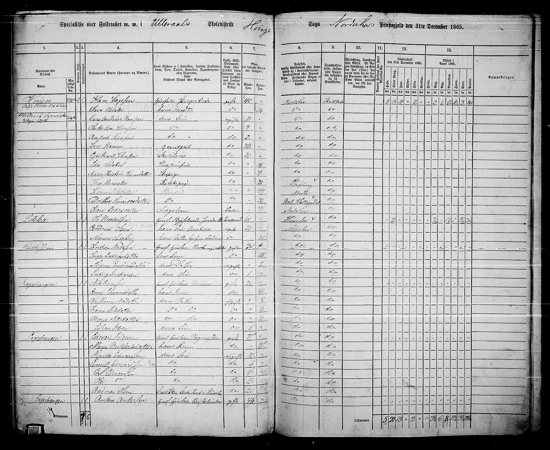 RA, 1865 census for Norderhov/Norderhov, Haug og Lunder, 1865, p. 266