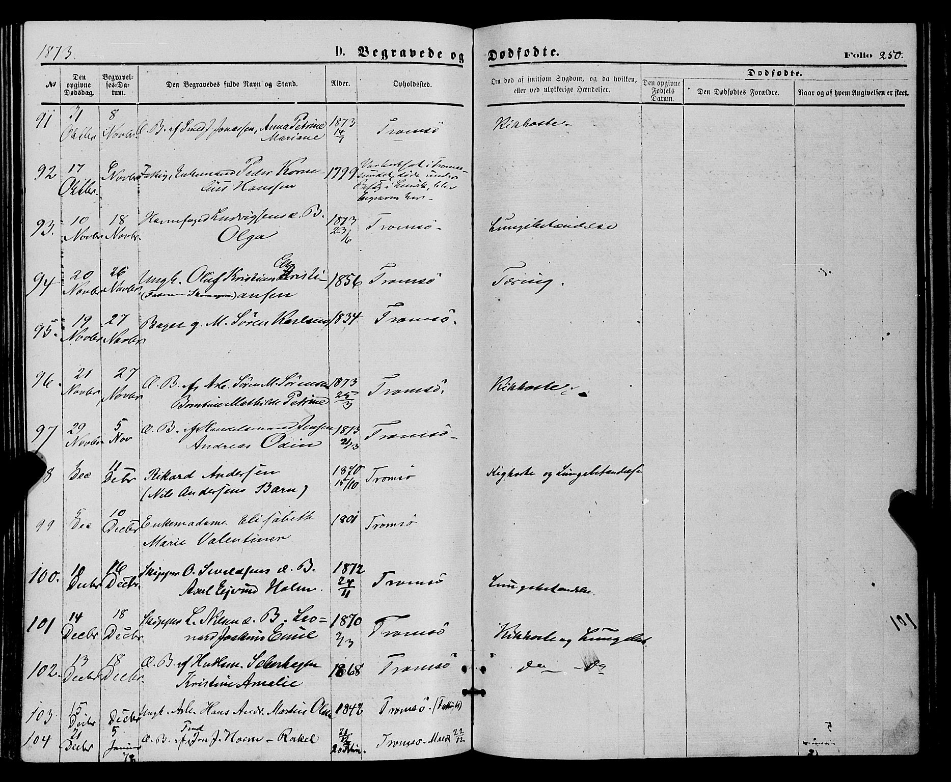 Tromsø sokneprestkontor/stiftsprosti/domprosti, SATØ/S-1343/G/Ga/L0013kirke: Parish register (official) no. 13, 1872-1877, p. 250