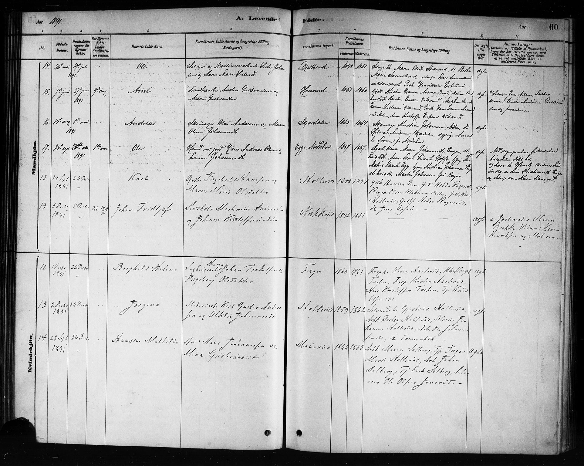 Hole kirkebøker, AV/SAKO-A-228/F/Fb/L0001: Parish register (official) no. II 1, 1878-1891, p. 60