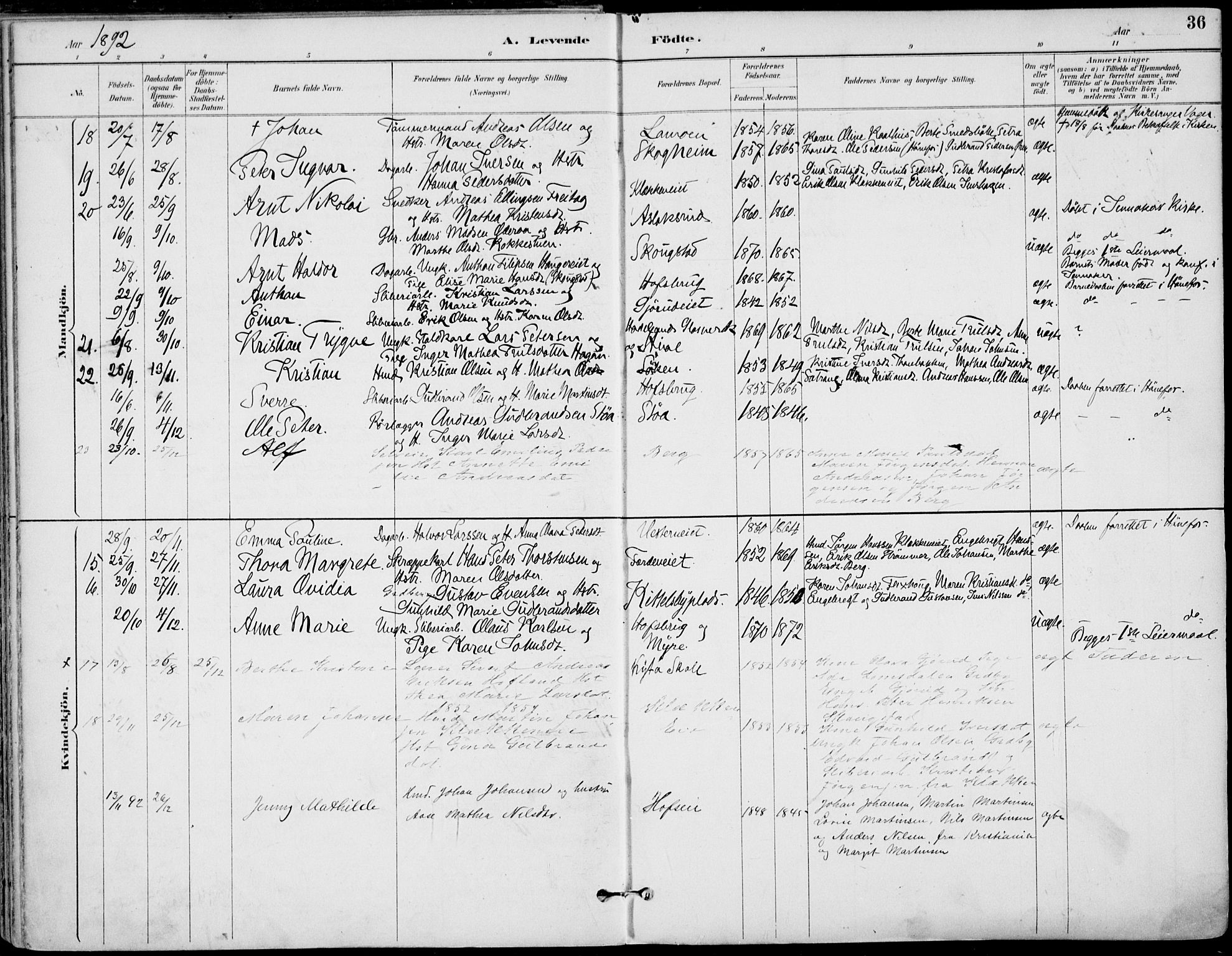 Haug kirkebøker, AV/SAKO-A-604/F/Fa/L0001: Parish register (official) no. 1, 1885-1917, p. 36