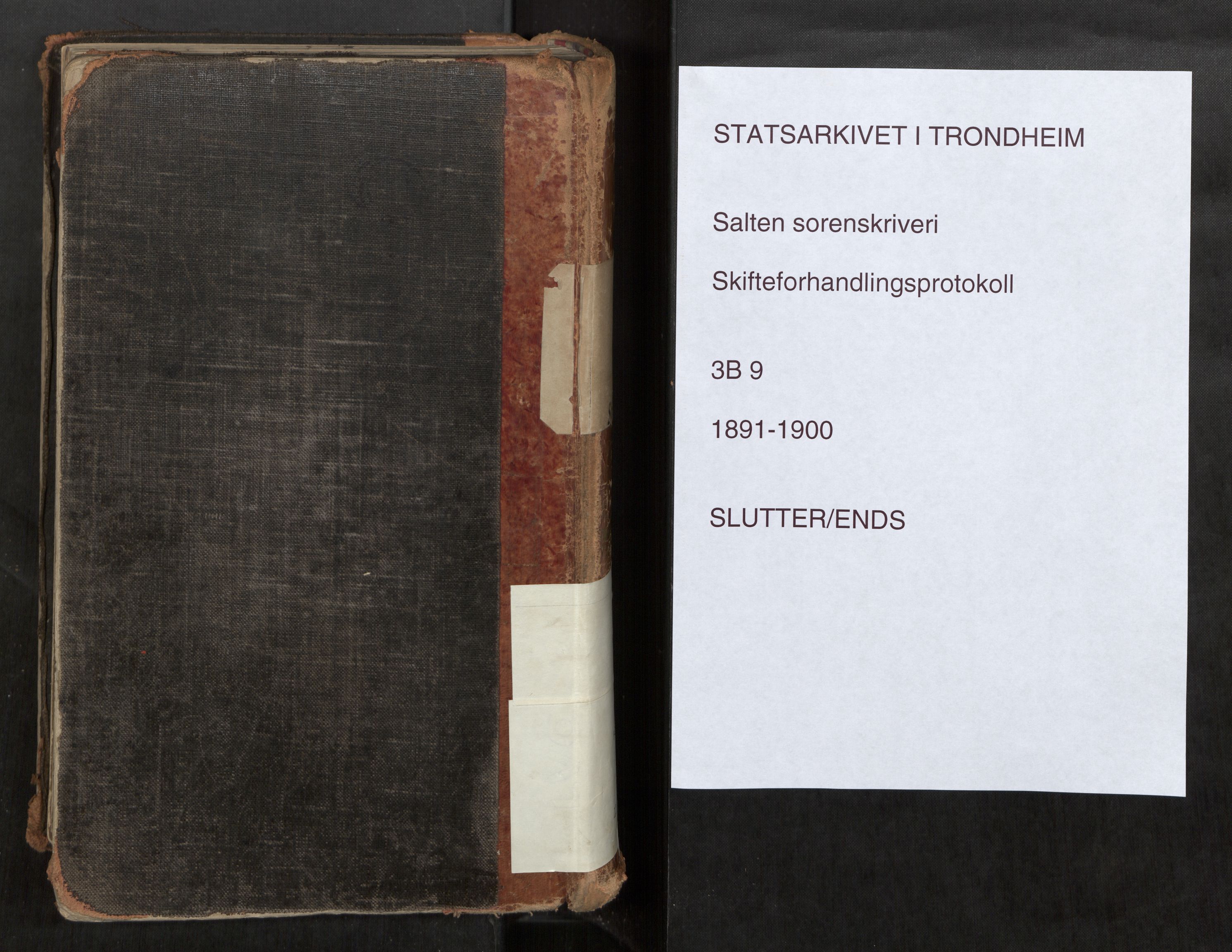 Salten sorenskriveri, SAT/A-4578/1/3/3B/L0009: Skiftebehandlingsprotokoll, 1891-1900