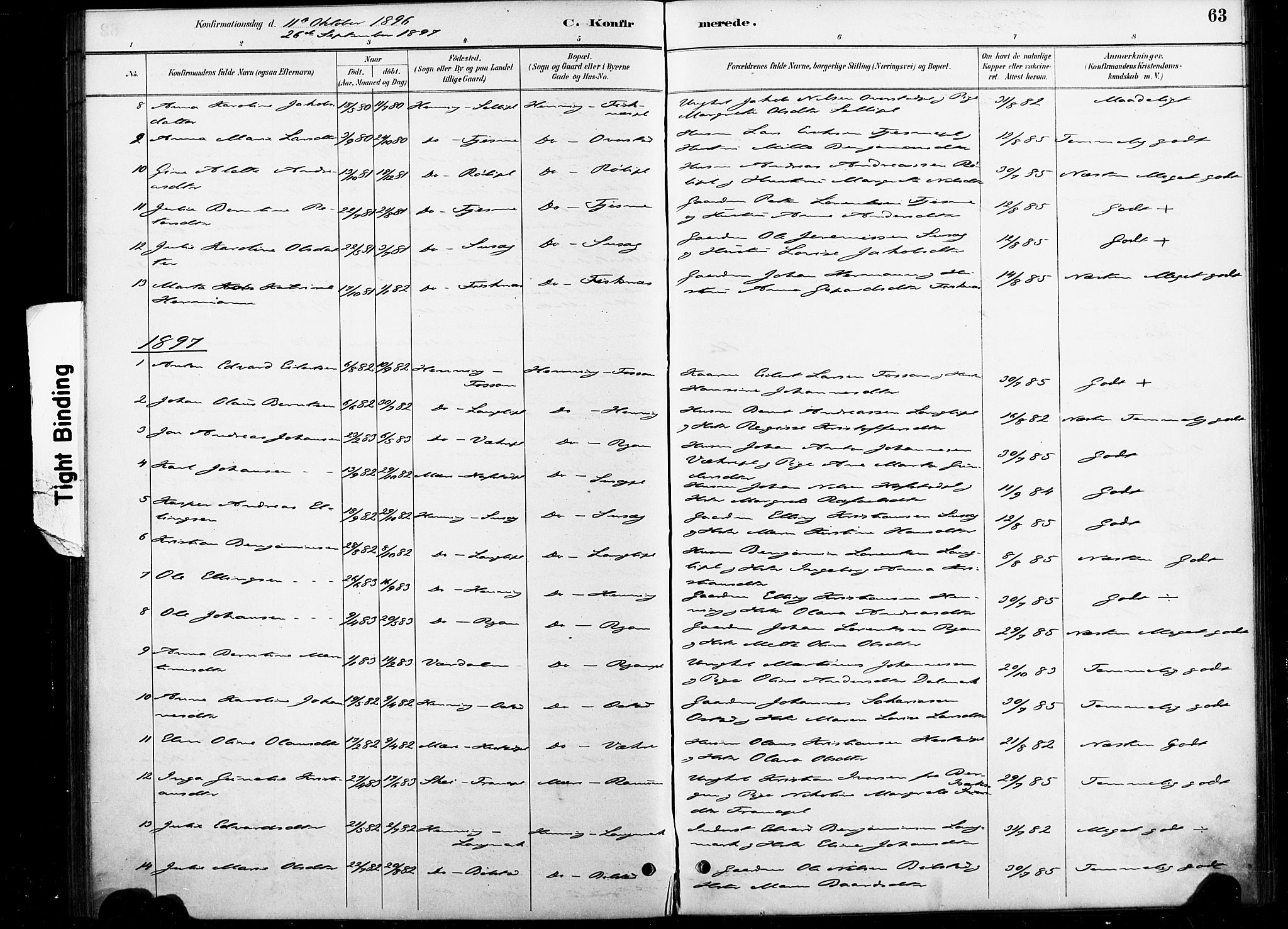 Ministerialprotokoller, klokkerbøker og fødselsregistre - Nord-Trøndelag, SAT/A-1458/738/L0364: Parish register (official) no. 738A01, 1884-1902, p. 63