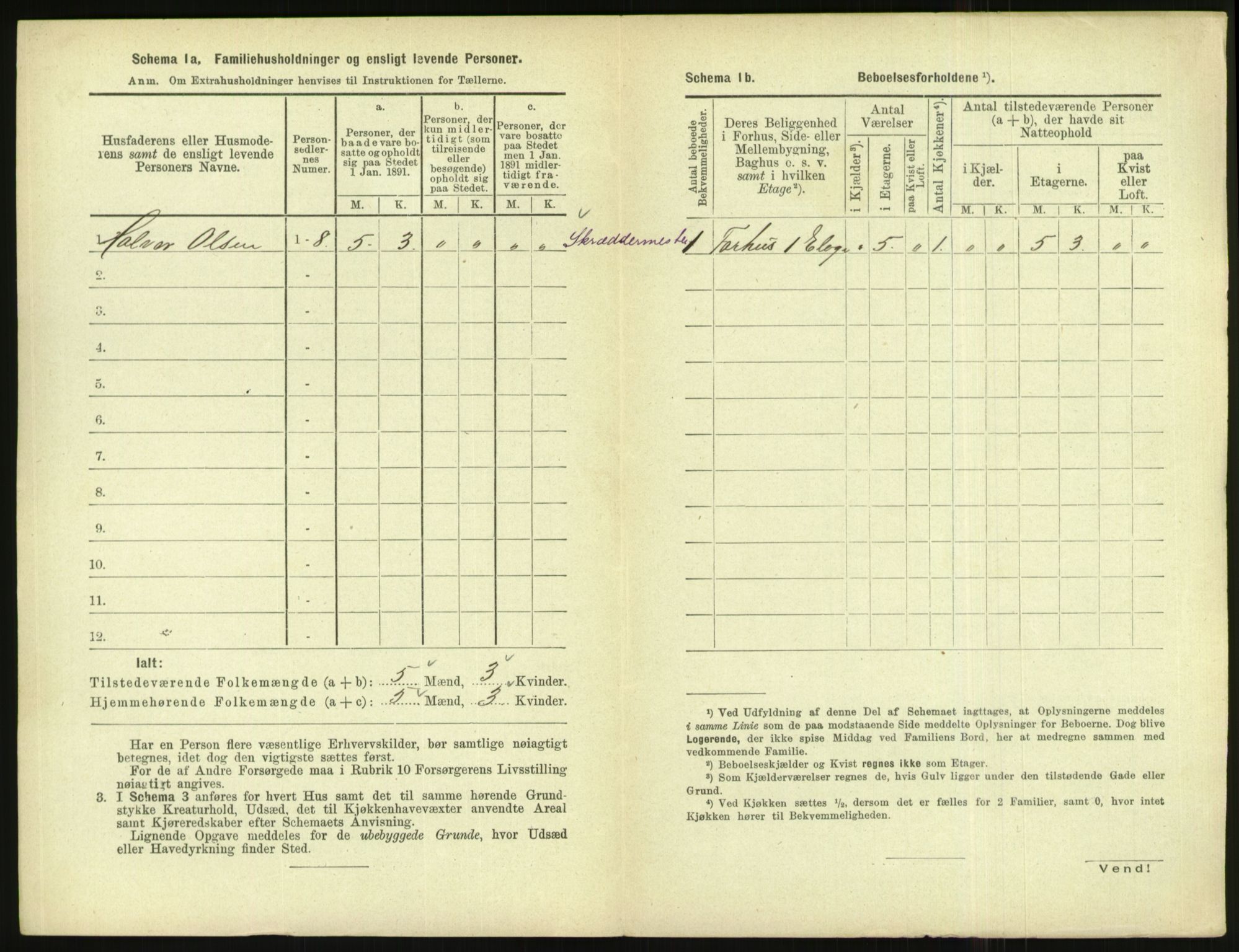 RA, 1891 census for 1004 Flekkefjord, 1891, p. 207