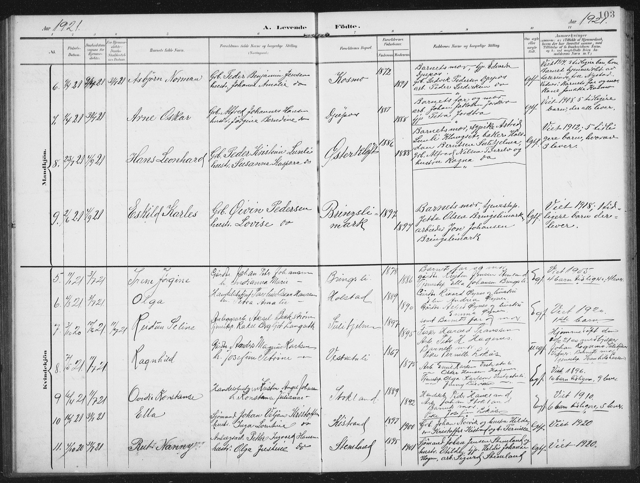 Ministerialprotokoller, klokkerbøker og fødselsregistre - Nordland, AV/SAT-A-1459/851/L0726: Parish register (copy) no. 851C01, 1902-1924, p. 103