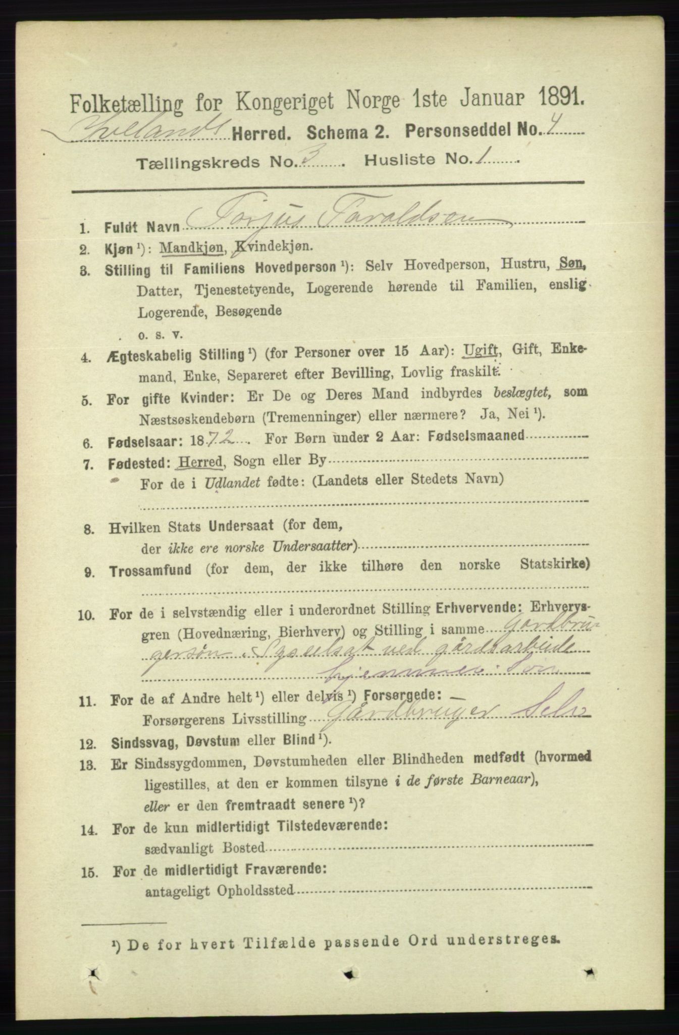 RA, 1891 census for 0935 Iveland, 1891, p. 732