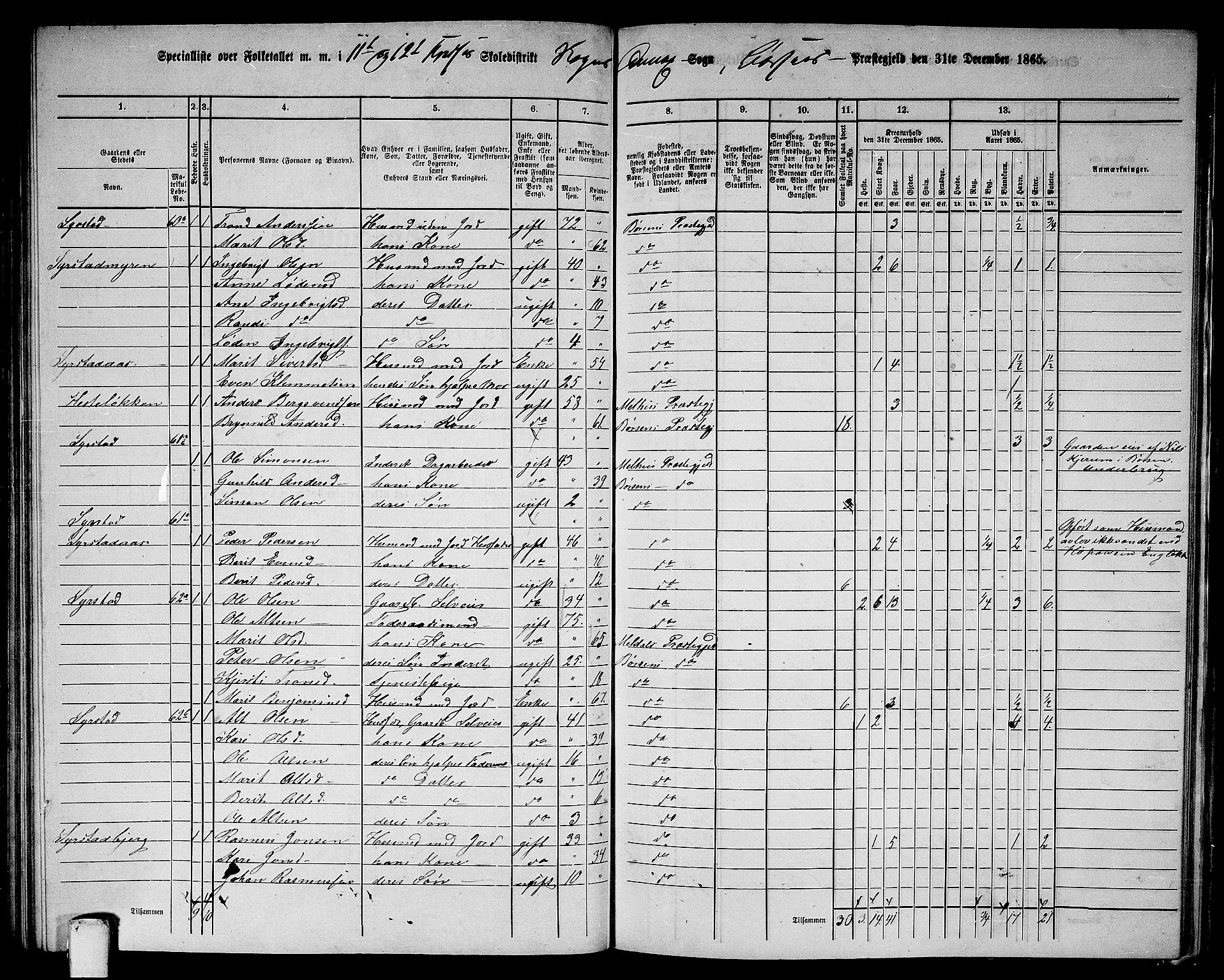 RA, 1865 census for Børsa, 1865, p. 129