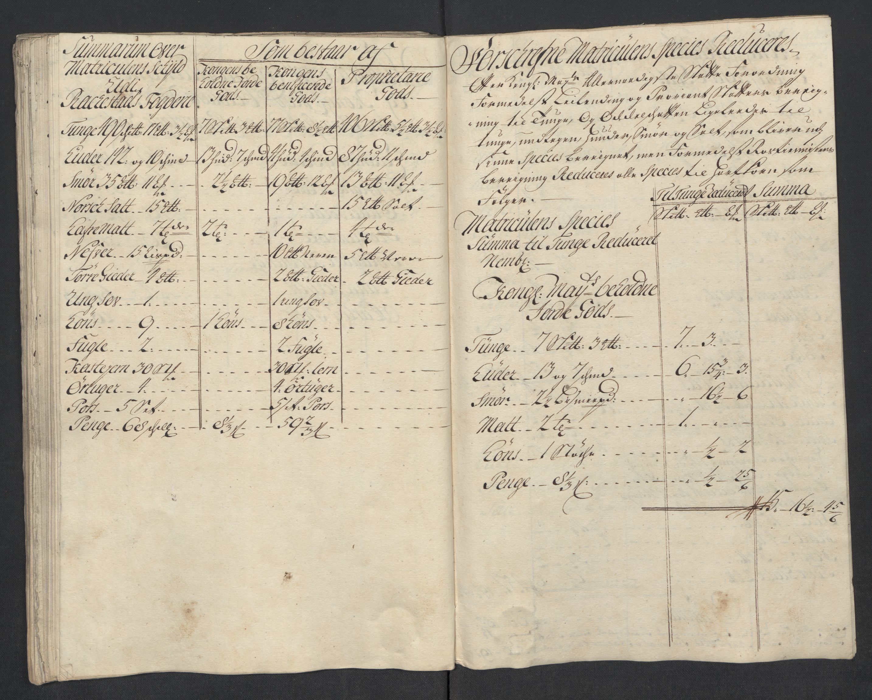 Rentekammeret inntil 1814, Reviderte regnskaper, Fogderegnskap, AV/RA-EA-4092/R07/L0313: Fogderegnskap Rakkestad, Heggen og Frøland, 1717, p. 97