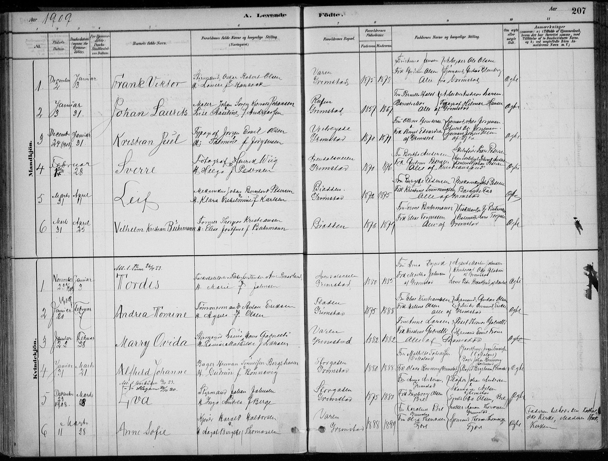 Grimstad sokneprestkontor, SAK/1111-0017/F/Fa/L0003: Parish register (official) no. A 2, 1882-1912, p. 207