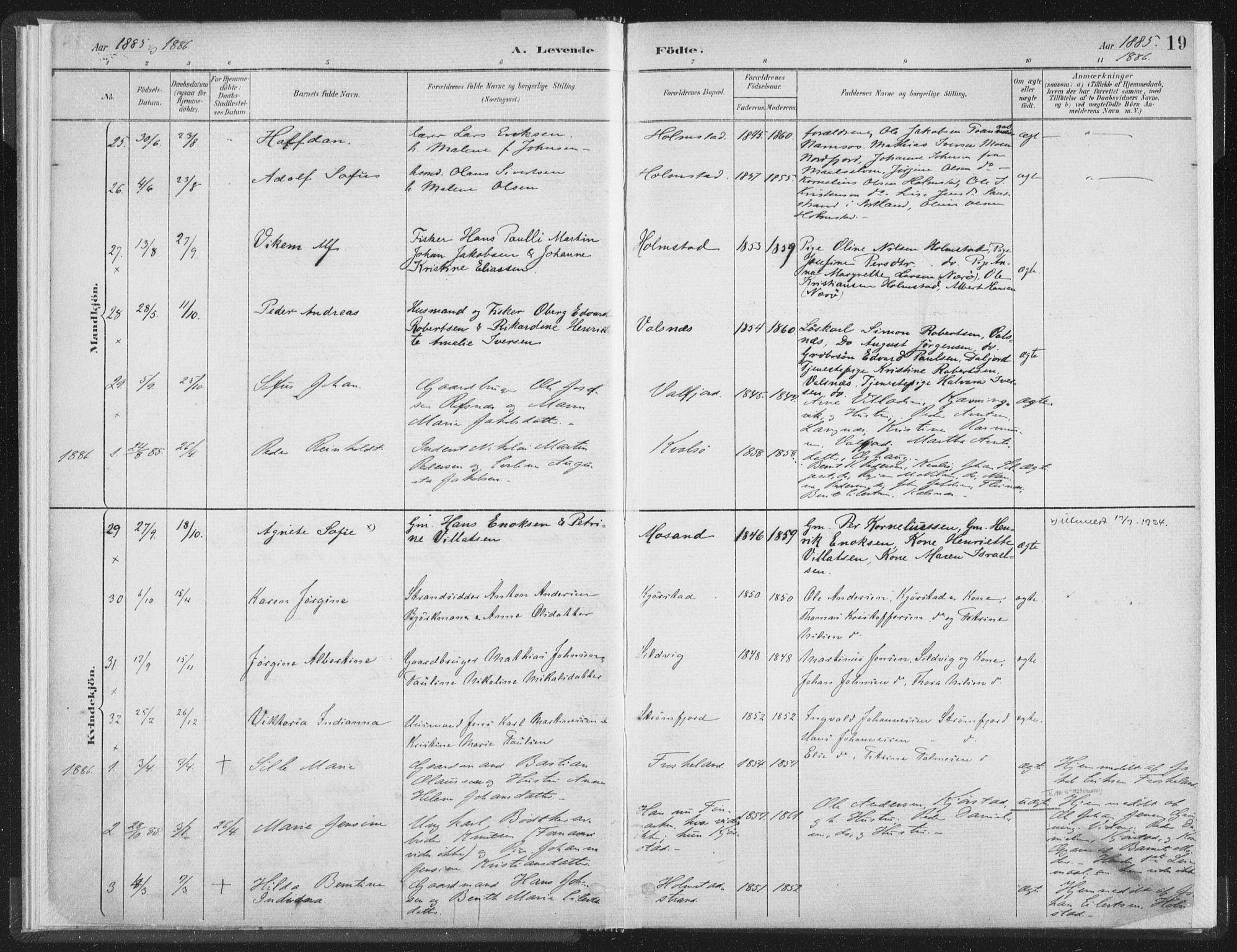 Ministerialprotokoller, klokkerbøker og fødselsregistre - Nordland, SAT/A-1459/890/L1286: Parish register (official) no. 890A01, 1882-1902, p. 19