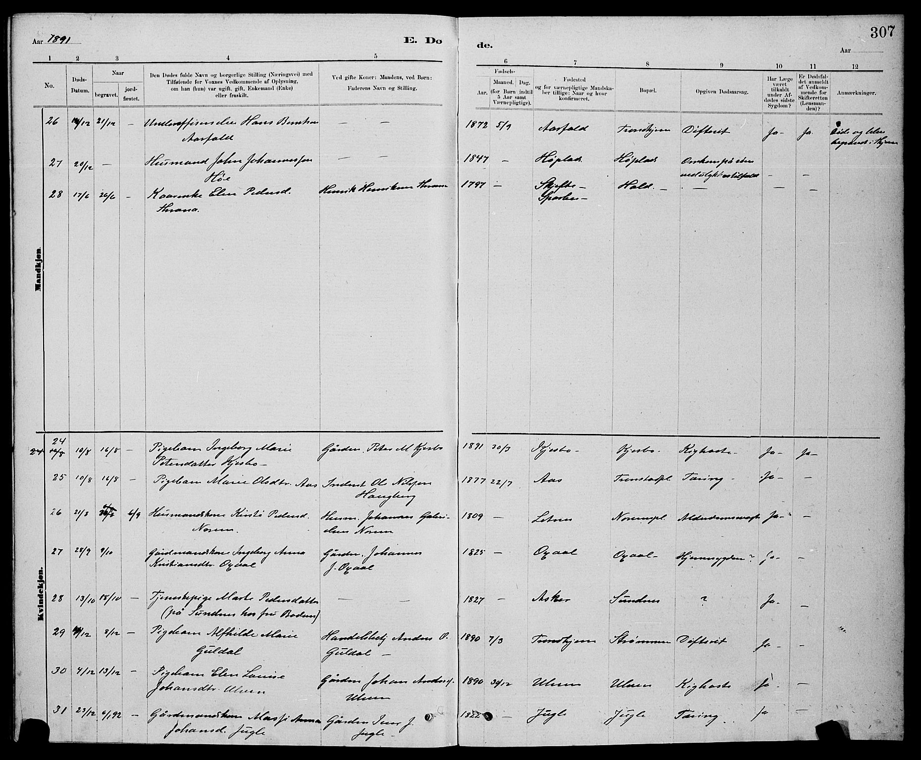 Ministerialprotokoller, klokkerbøker og fødselsregistre - Nord-Trøndelag, SAT/A-1458/730/L0301: Parish register (copy) no. 730C04, 1880-1897, p. 307
