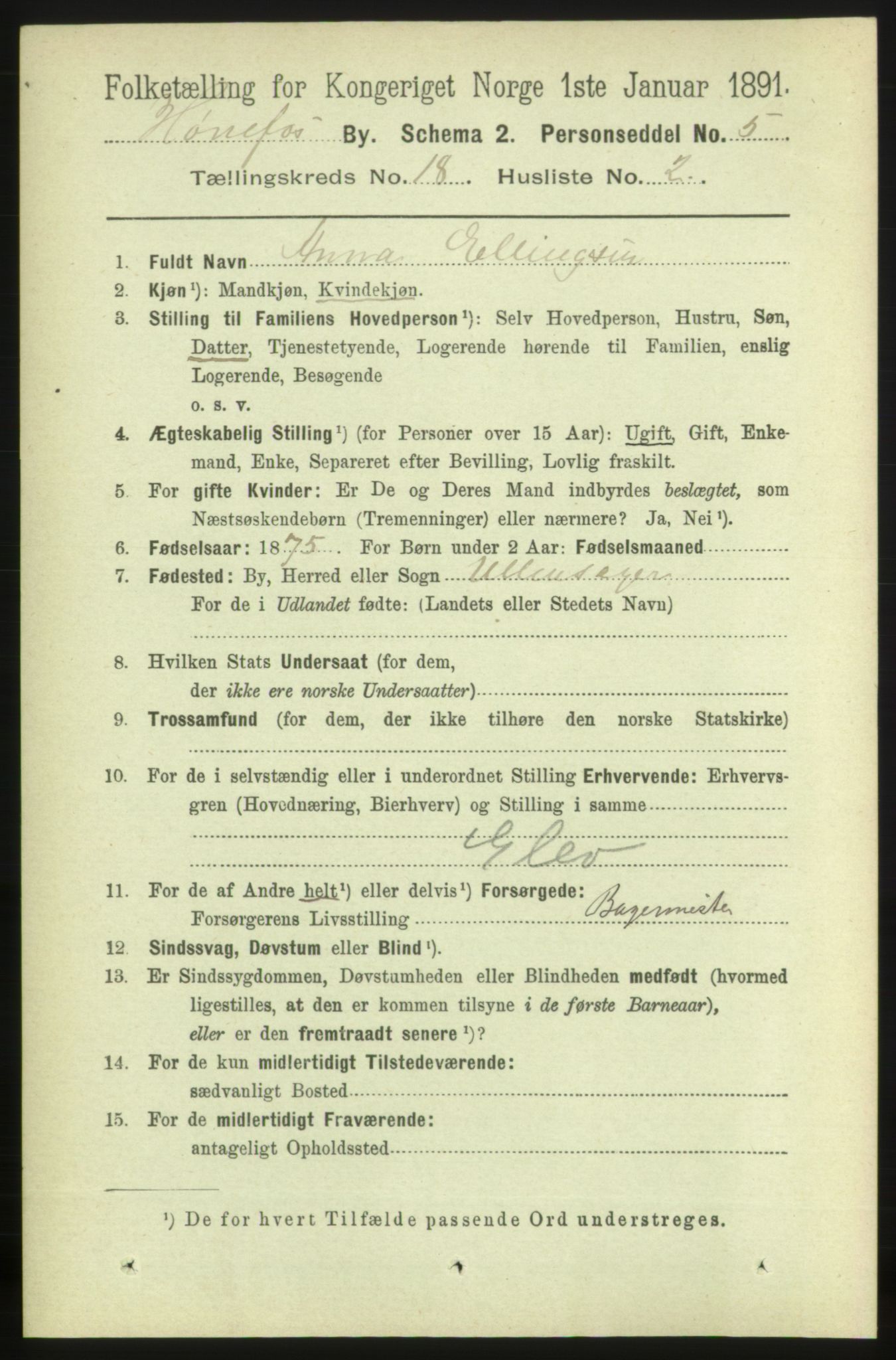 RA, 1891 census for 0601 Hønefoss, 1891, p. 1958