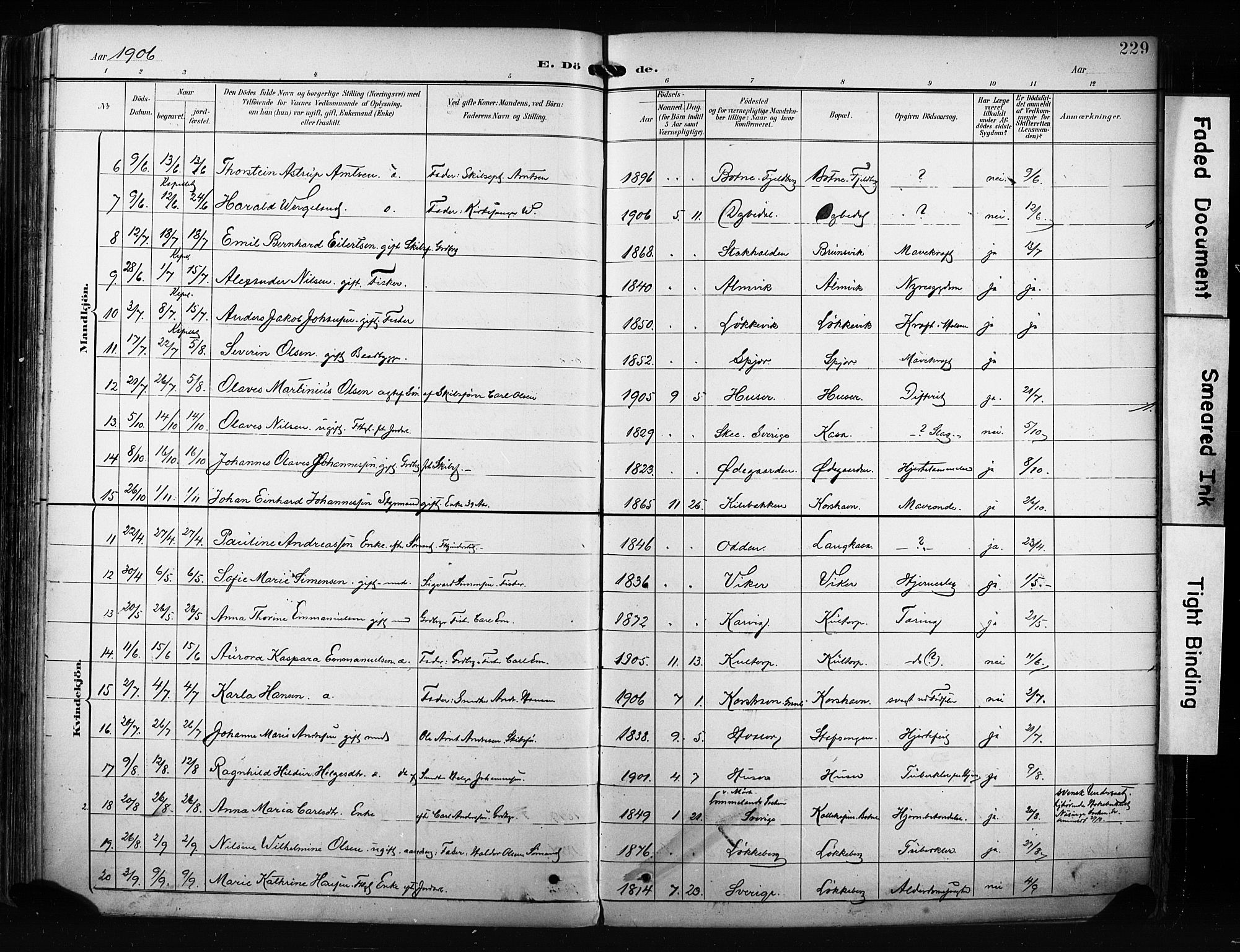 Hvaler prestekontor Kirkebøker, SAO/A-2001/F/Fa/L0009: Parish register (official) no. I 9, 1895-1906, p. 229