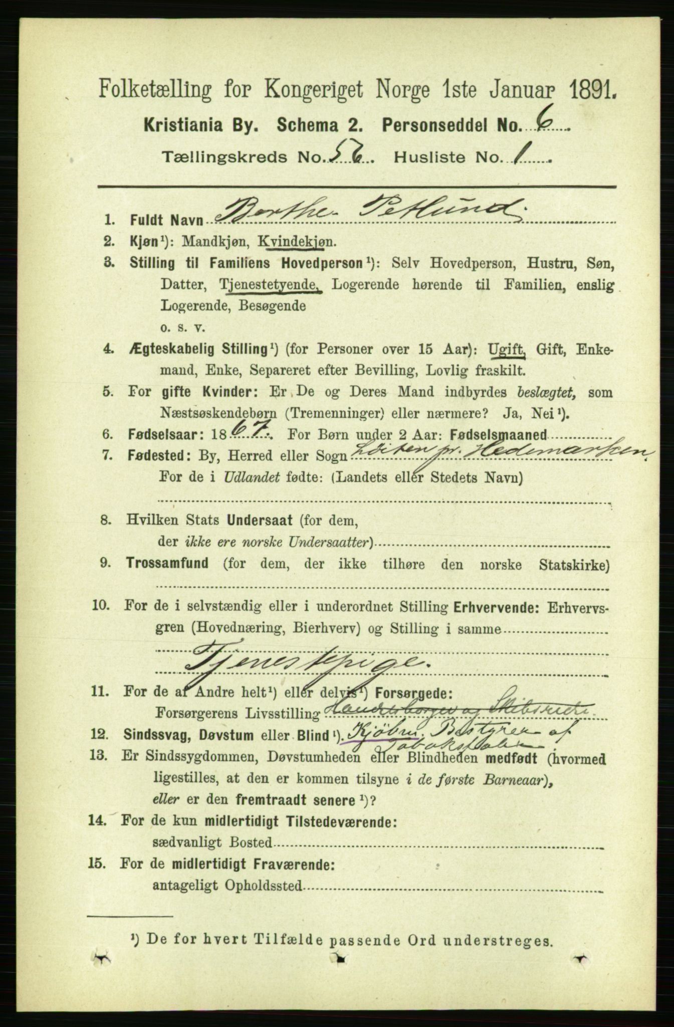 RA, 1891 census for 0301 Kristiania, 1891, p. 30226