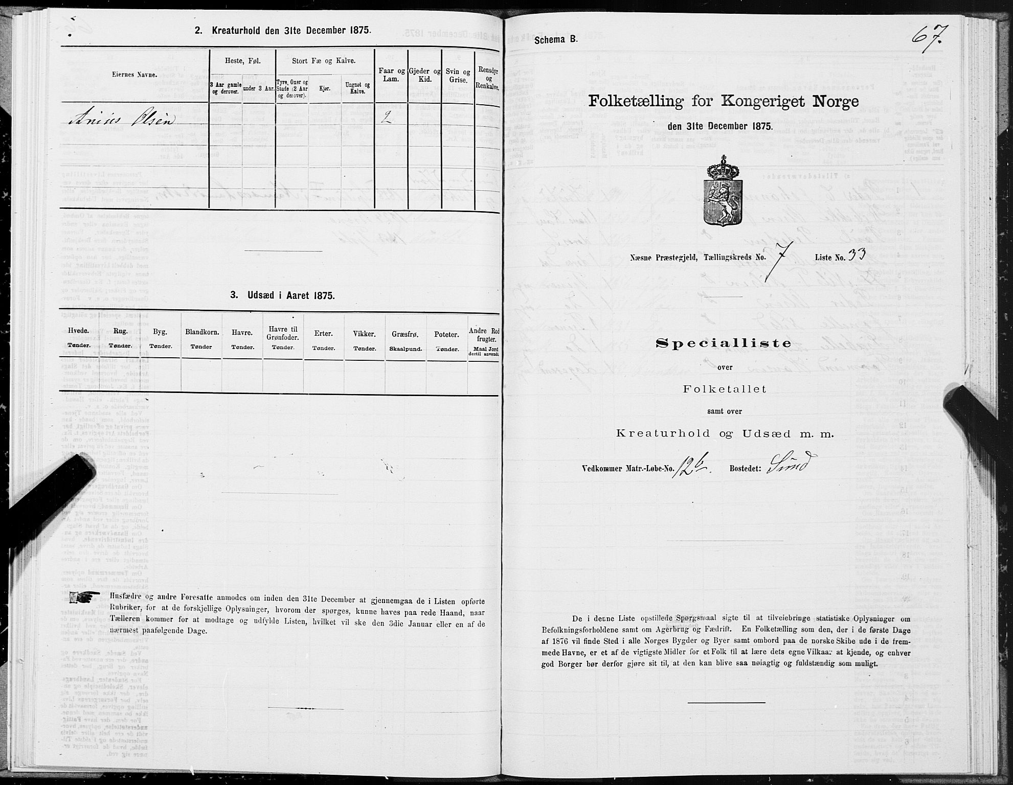 SAT, 1875 census for 1828P Nesna, 1875, p. 6067