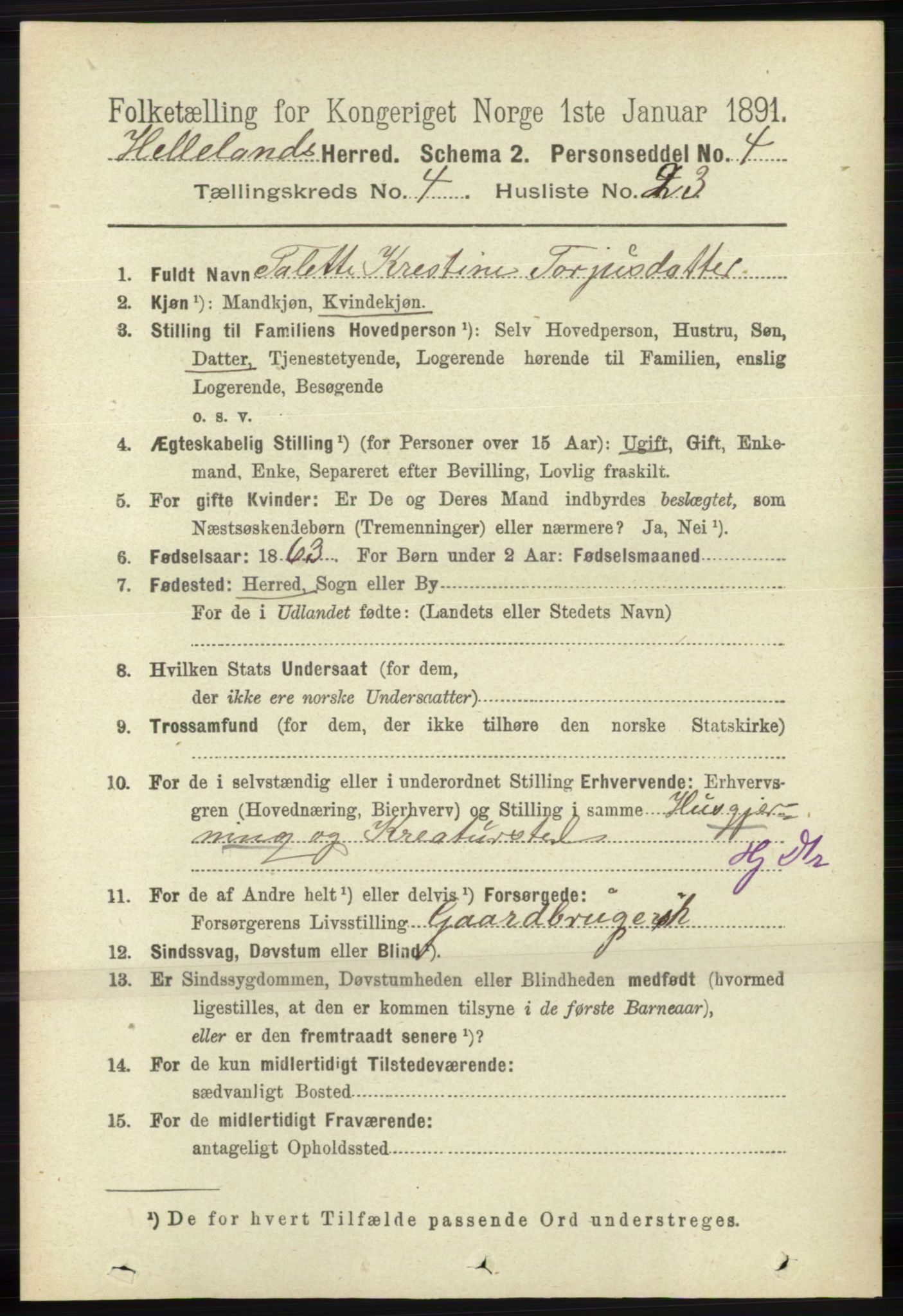 RA, 1891 census for 1115 Helleland, 1891, p. 1304