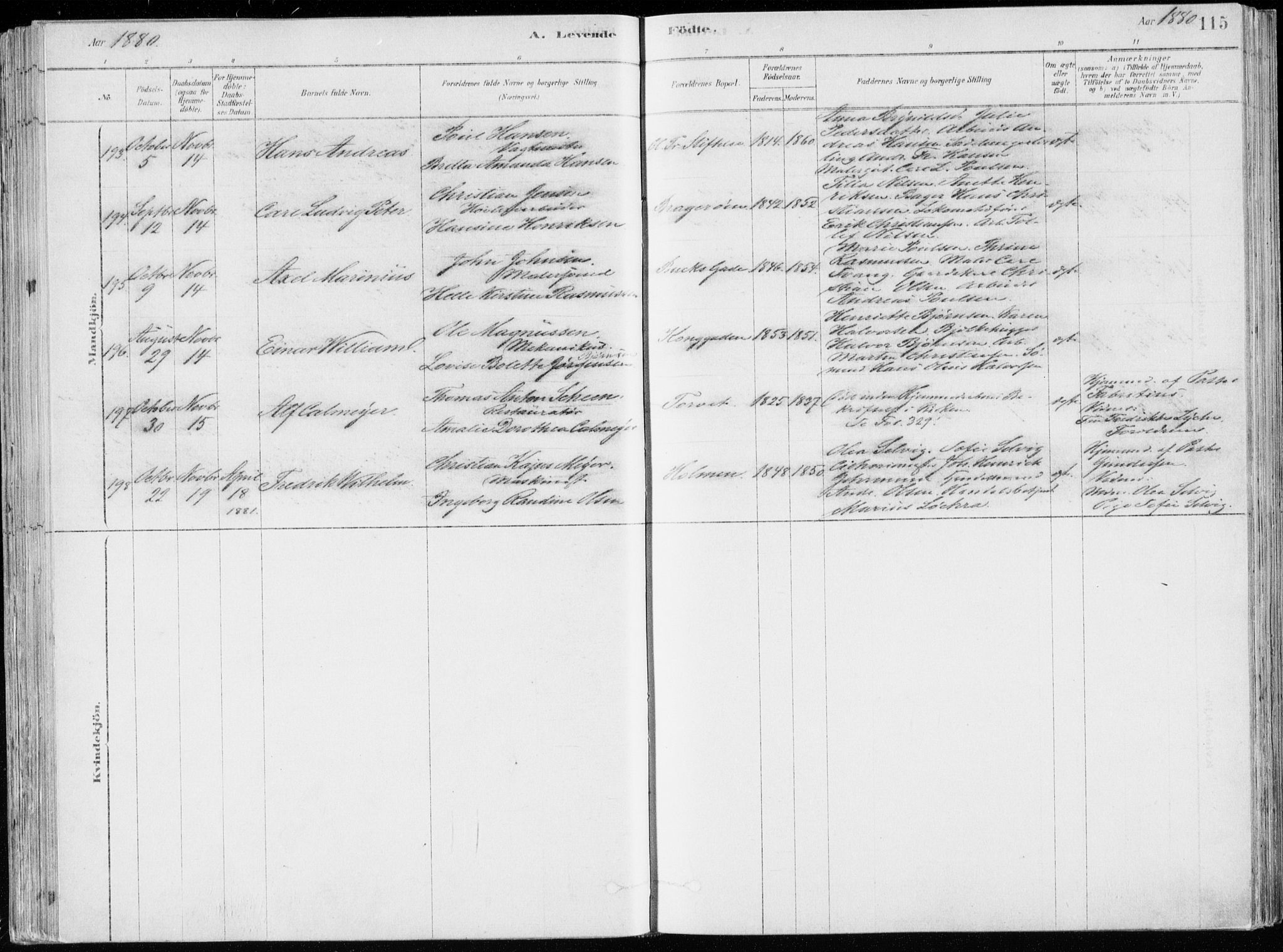 Bragernes kirkebøker, AV/SAKO-A-6/F/Fb/L0006a: Parish register (official) no. II 6A, 1878-1885, p. 115