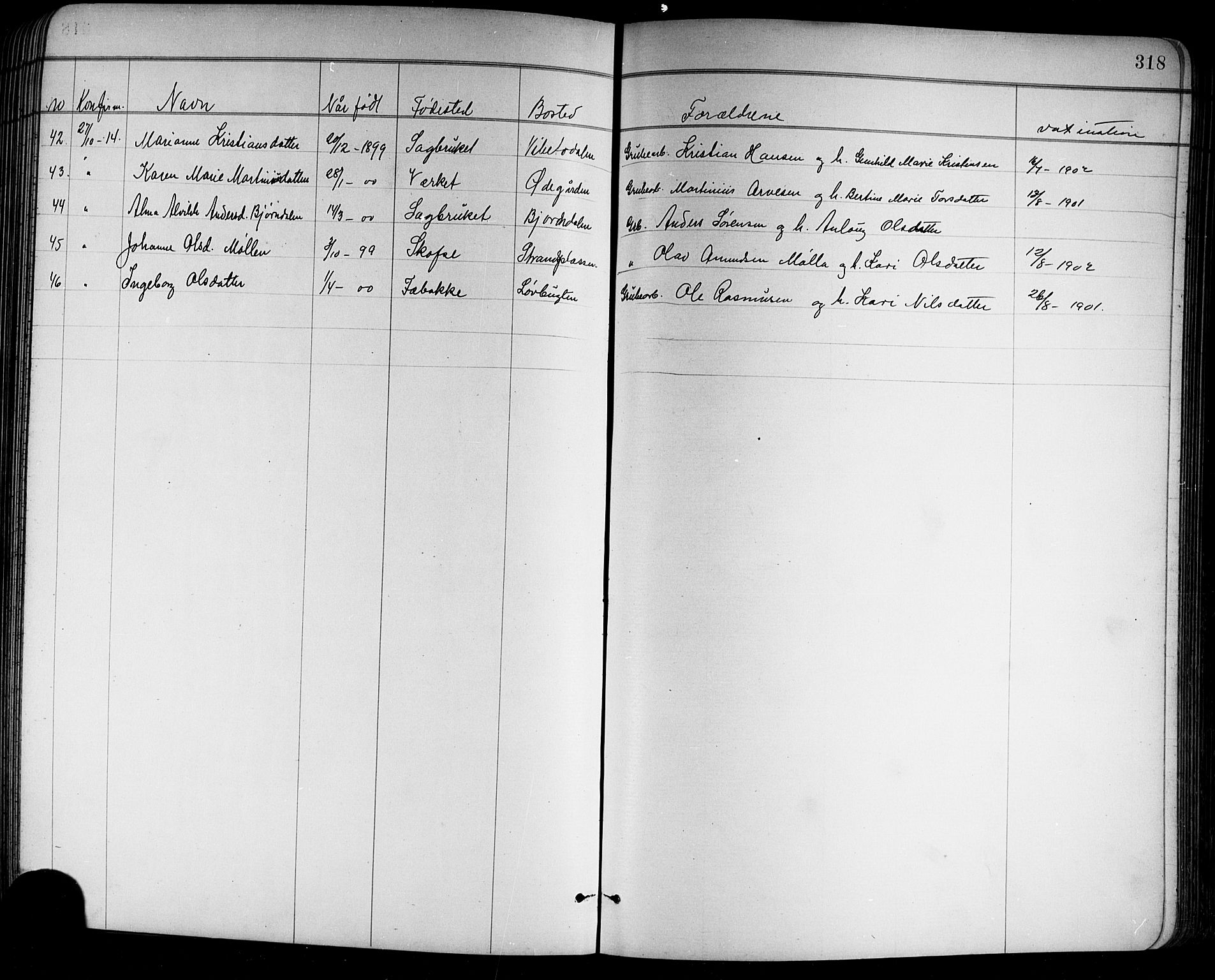 Holla kirkebøker, SAKO/A-272/G/Ga/L0005: Parish register (copy) no. I 5, 1891-1917, p. 318