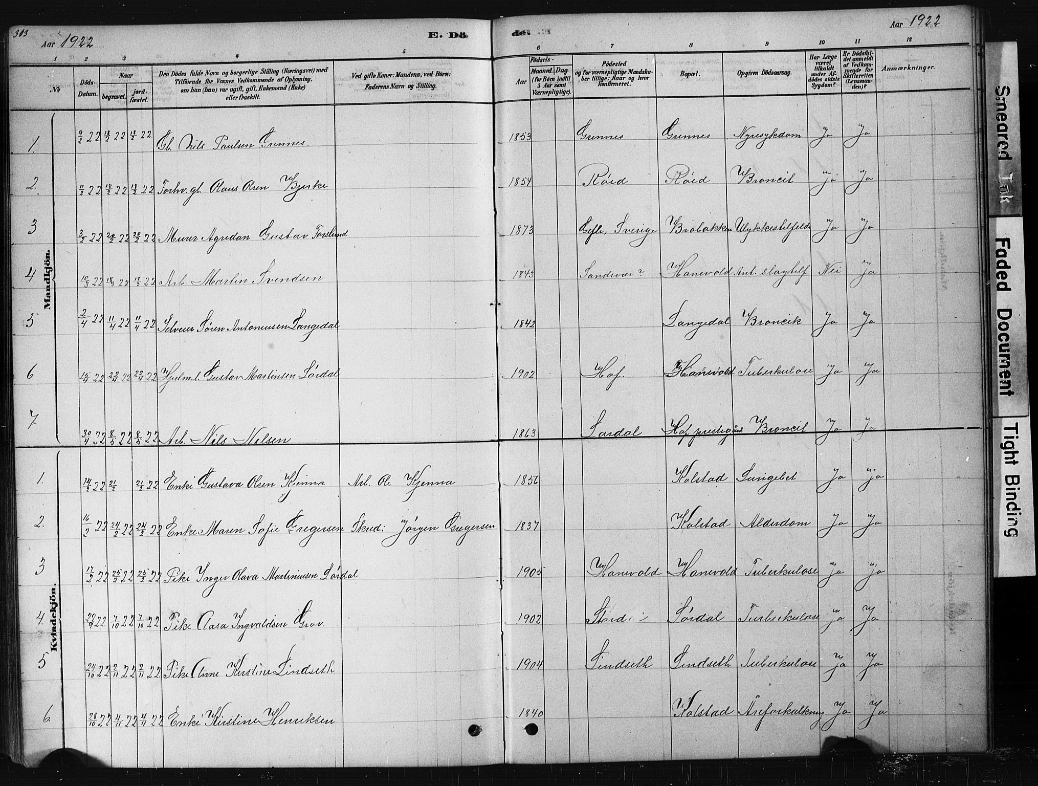 Hof kirkebøker, AV/SAKO-A-64/G/Ga/L0004: Parish register (copy) no. I 4, 1878-1930, p. 313