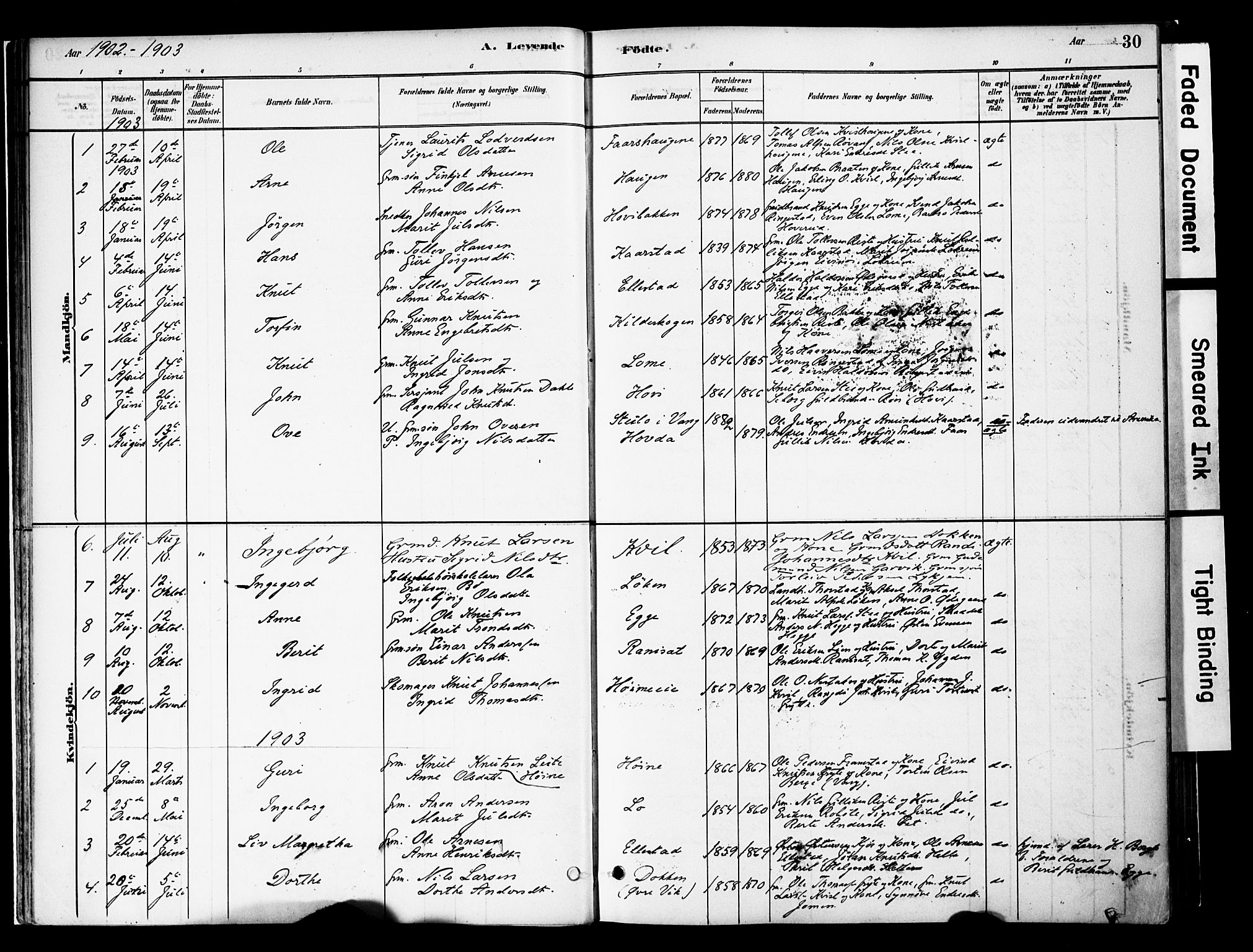 Vestre Slidre prestekontor, SAH/PREST-136/H/Ha/Haa/L0005: Parish register (official) no. 5, 1881-1912, p. 30