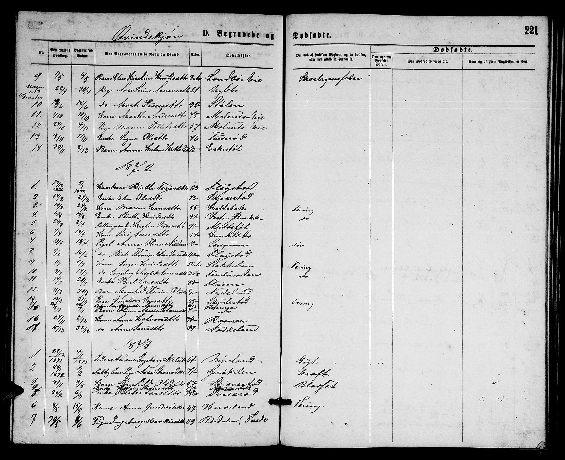 Austre Moland sokneprestkontor, SAK/1111-0001/F/Fb/Fba/L0002: Parish register (copy) no. B 2, 1869-1879, p. 221