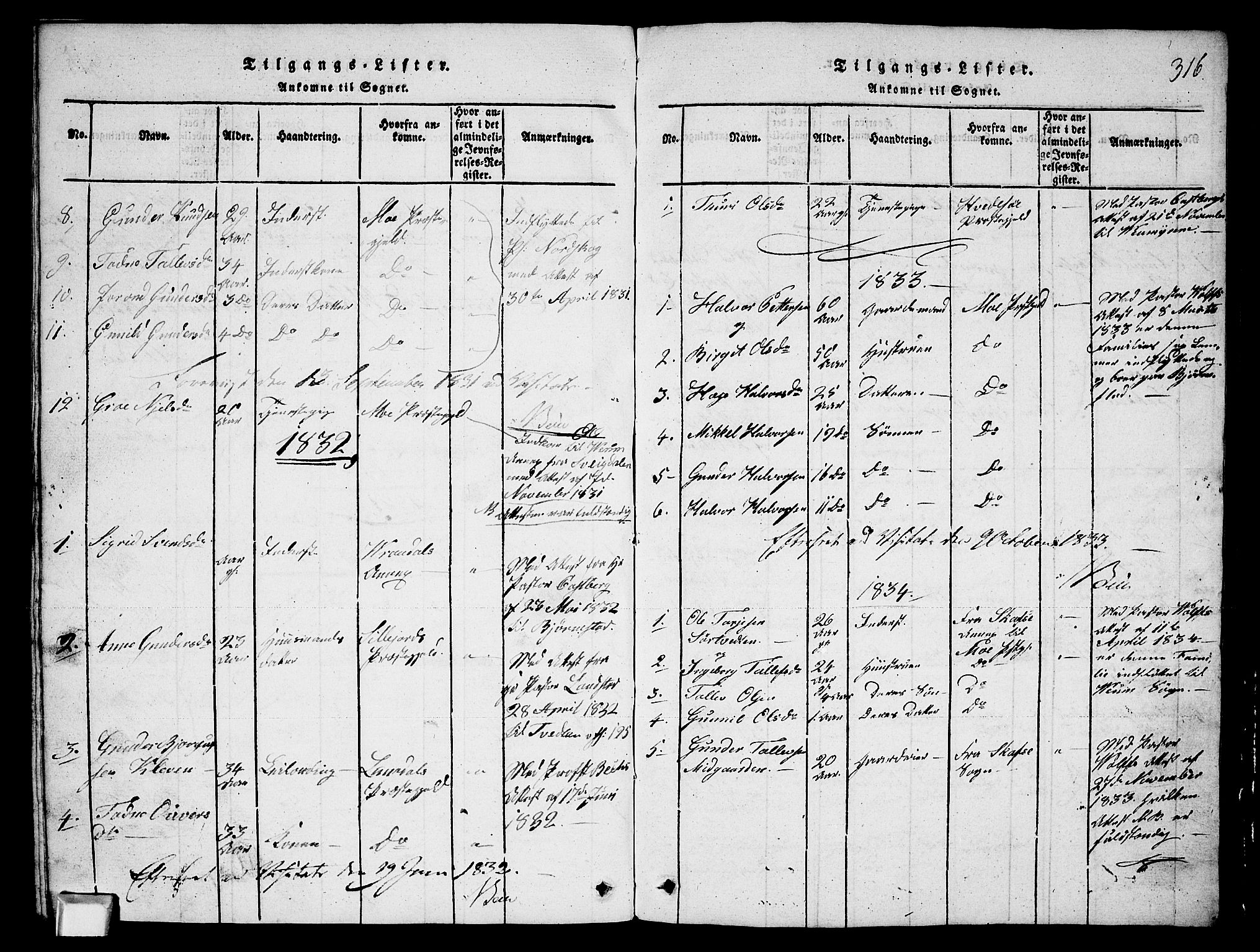 Fyresdal kirkebøker, AV/SAKO-A-263/G/Ga/L0003: Parish register (copy) no. I 3, 1815-1863, p. 316