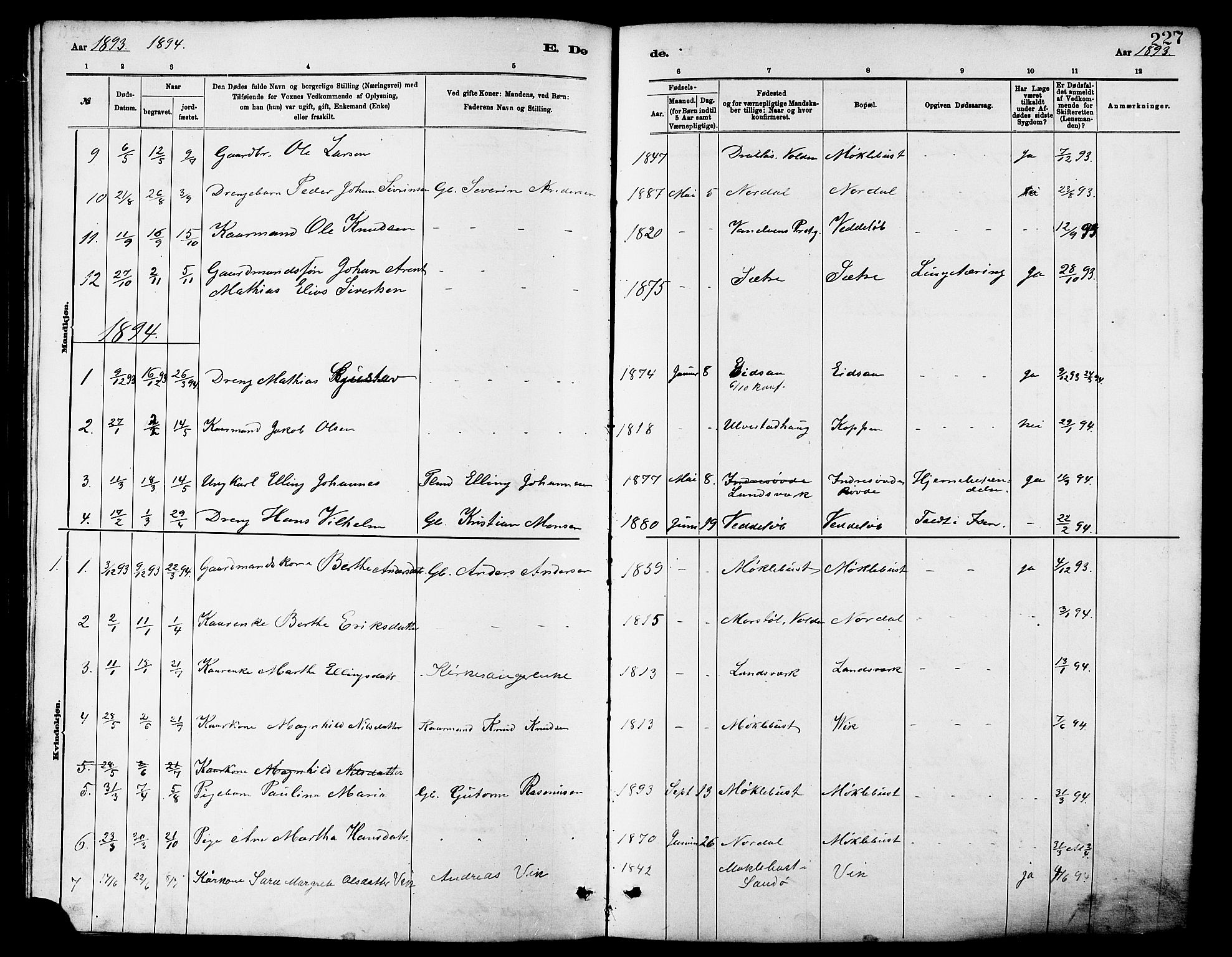 Ministerialprotokoller, klokkerbøker og fødselsregistre - Møre og Romsdal, AV/SAT-A-1454/502/L0027: Parish register (copy) no. 502C01, 1878-1908, p. 227