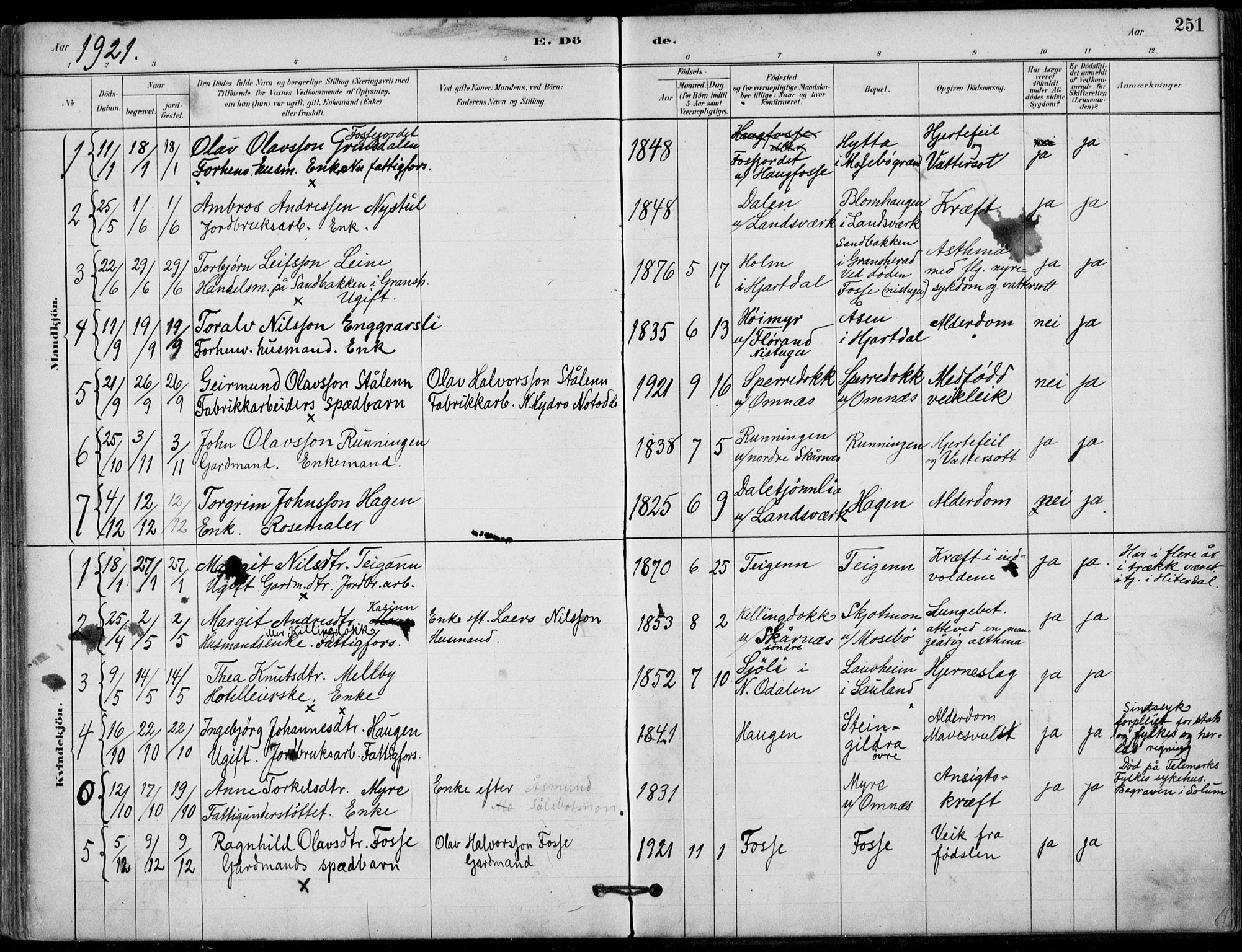 Hjartdal kirkebøker, AV/SAKO-A-270/F/Fb/L0002: Parish register (official) no. II 2, 1880-1932, p. 251