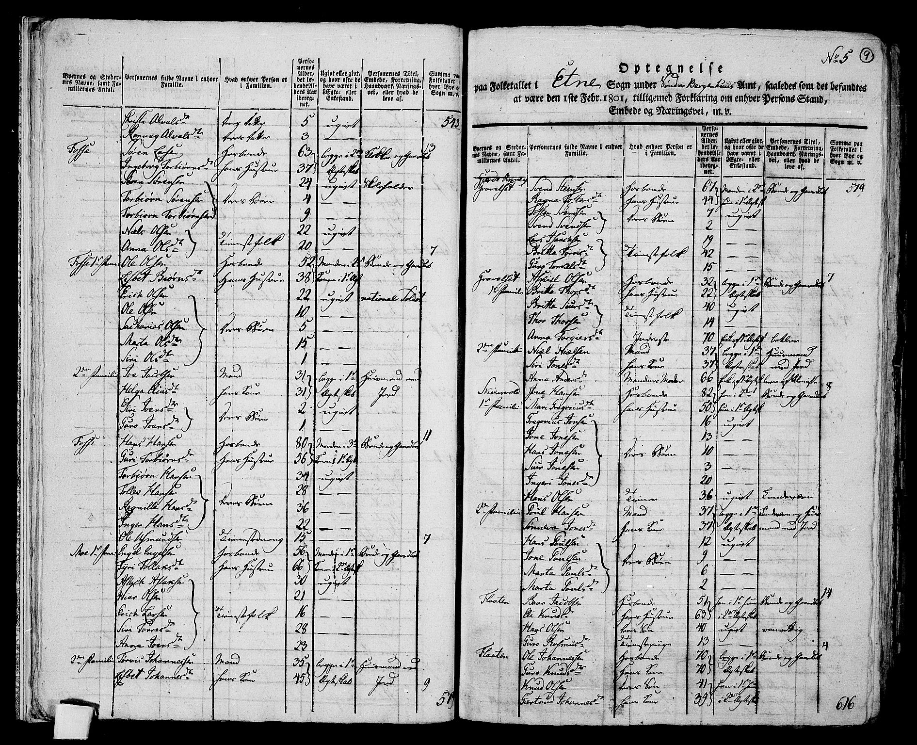 RA, 1801 census for 1211P Etne, 1801, p. 8b-9a