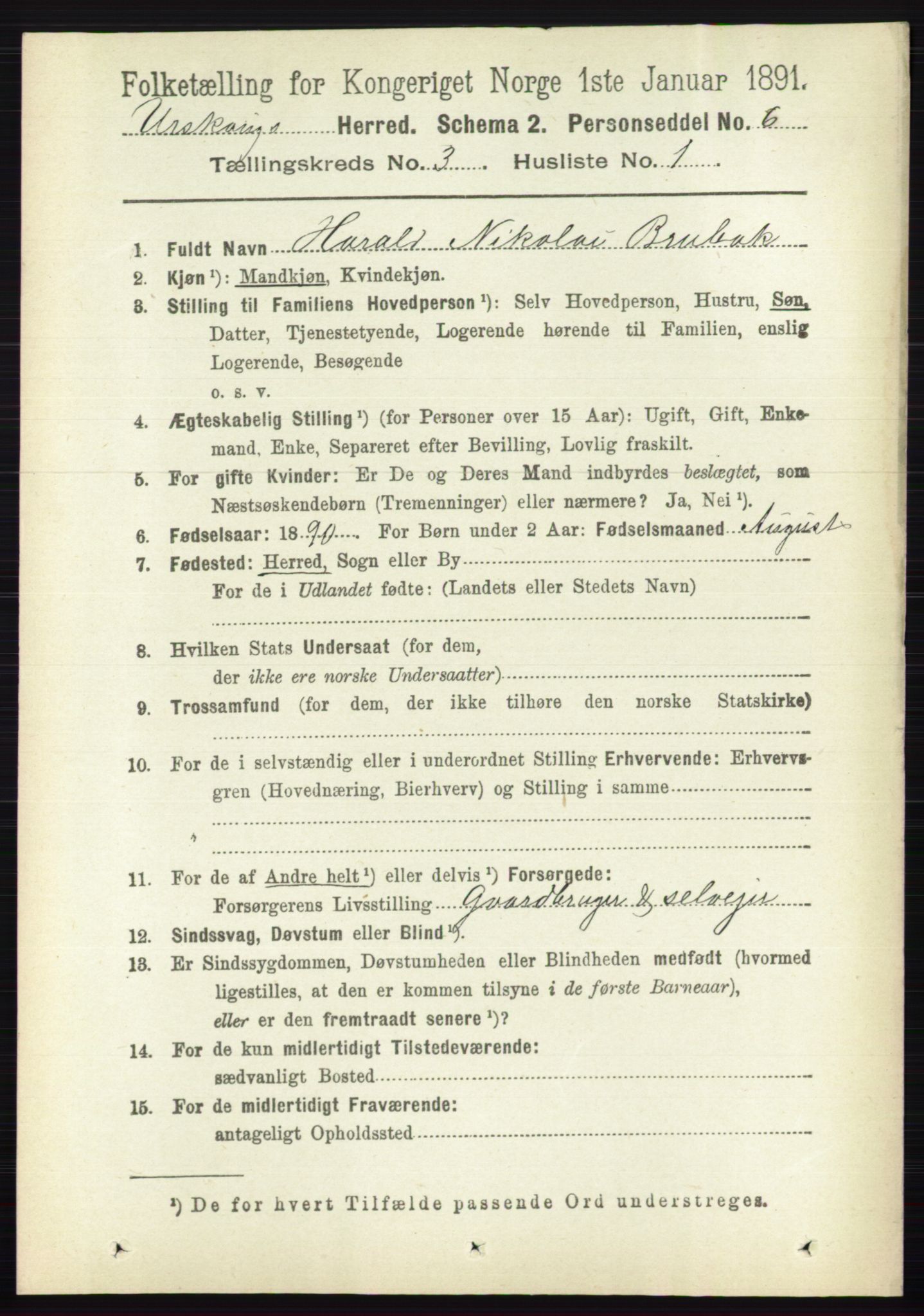 RA, 1891 census for 0224 Aurskog, 1891, p. 504