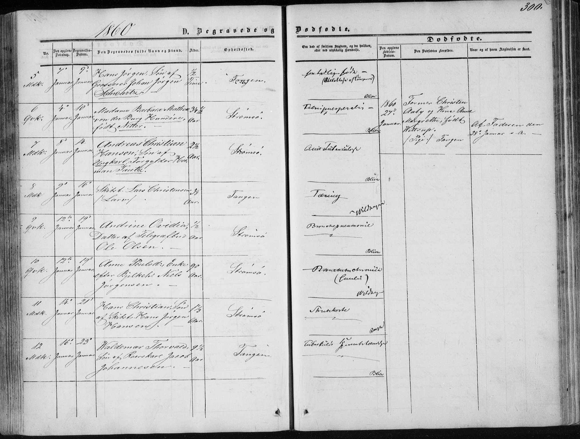 Strømsø kirkebøker, AV/SAKO-A-246/F/Fa/L0015: Parish register (official) no. I 15, 1859-1868, p. 300