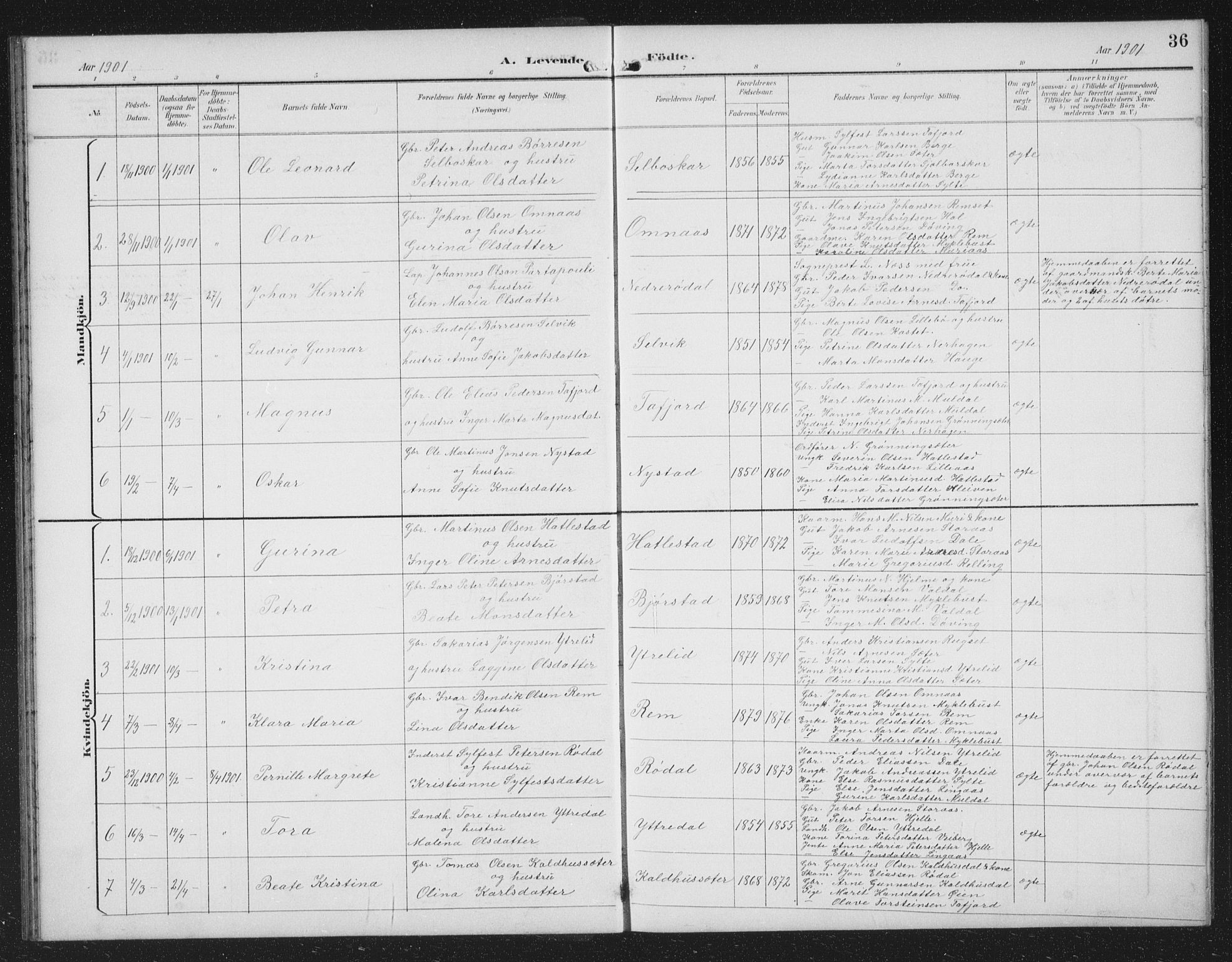 Ministerialprotokoller, klokkerbøker og fødselsregistre - Møre og Romsdal, SAT/A-1454/519/L0264: Parish register (copy) no. 519C05, 1892-1910, p. 36