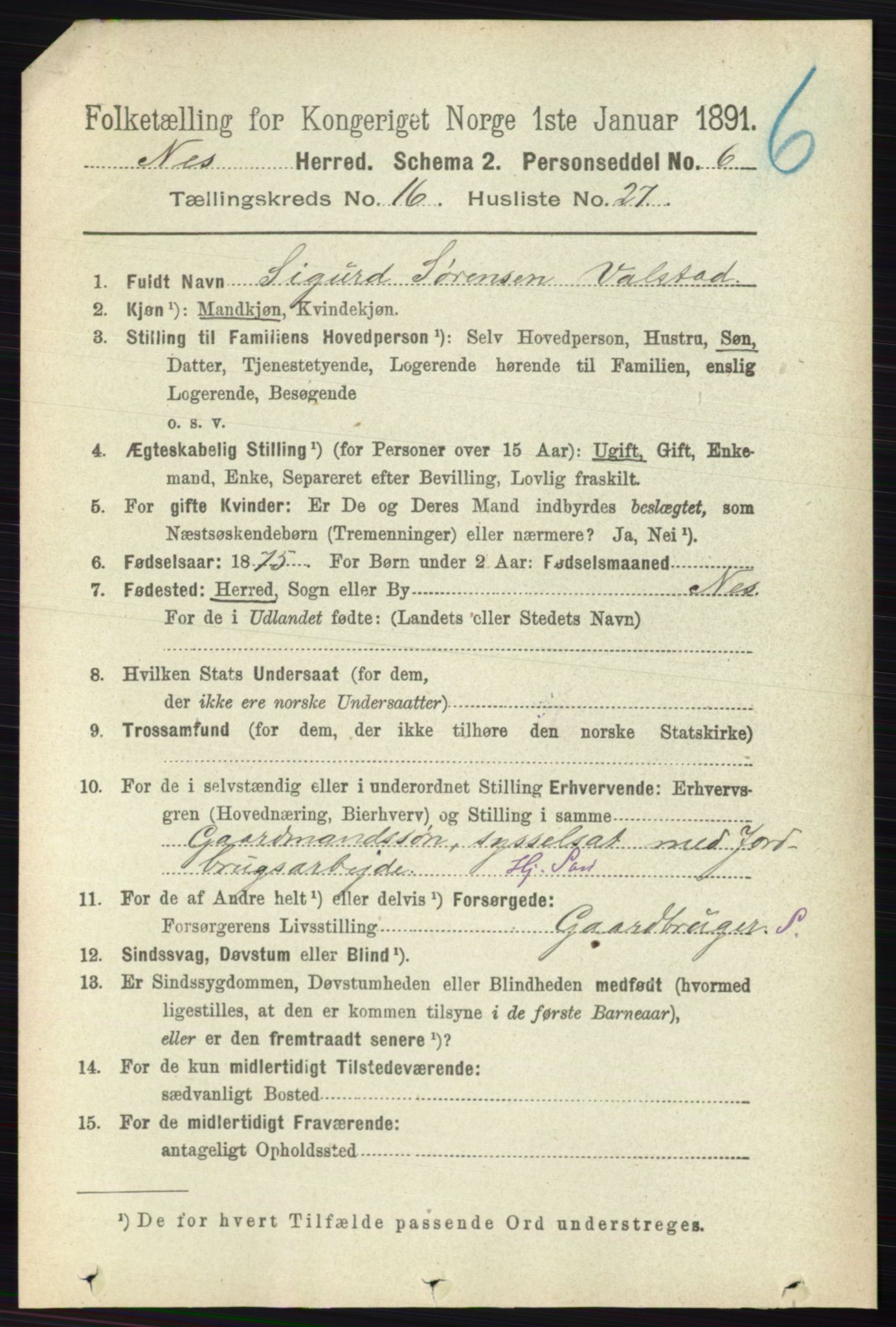 RA, 1891 census for 0236 Nes, 1891, p. 9715
