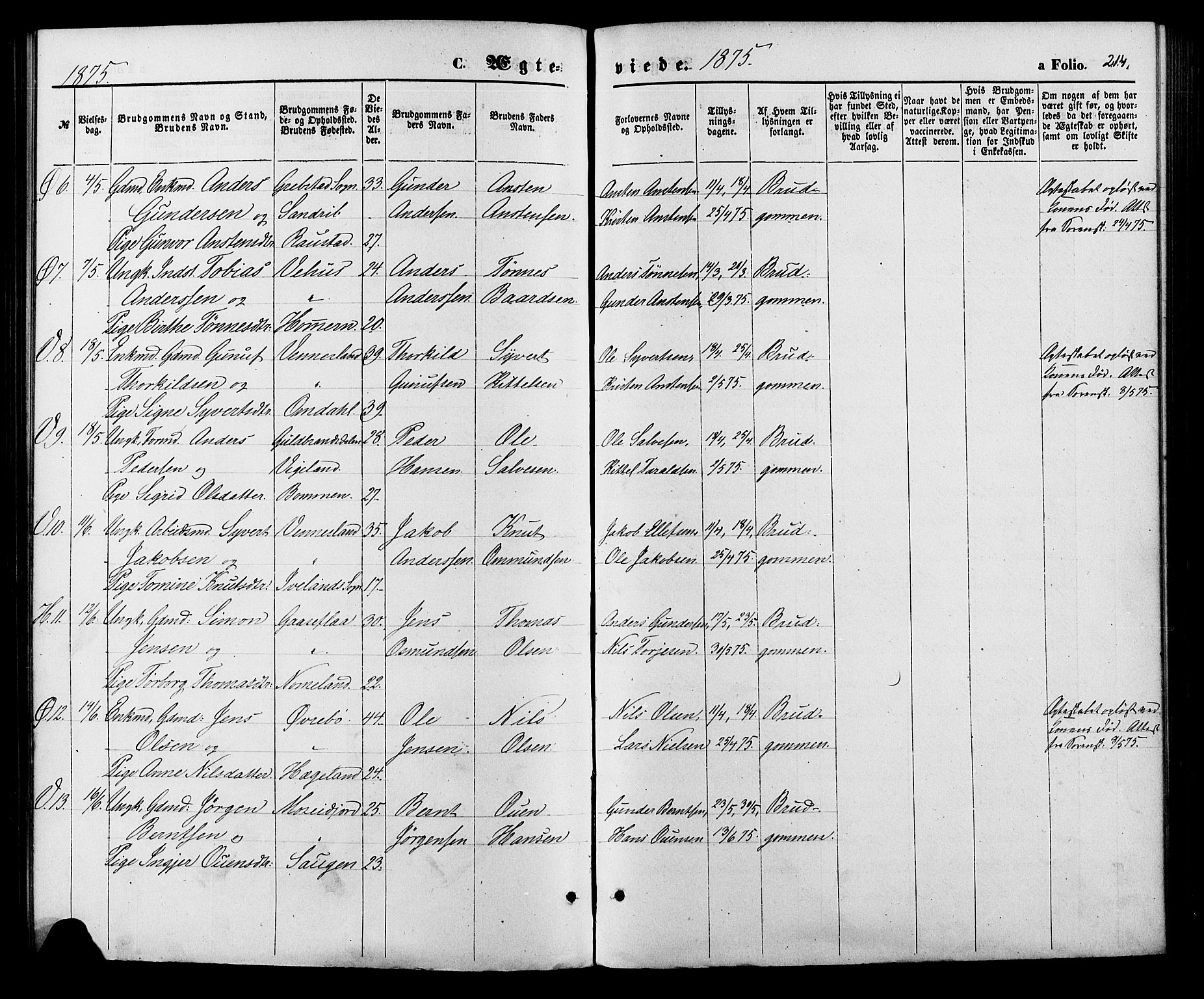 Vennesla sokneprestkontor, AV/SAK-1111-0045/Fa/Fac/L0008: Parish register (official) no. A 8, 1874-1883, p. 214