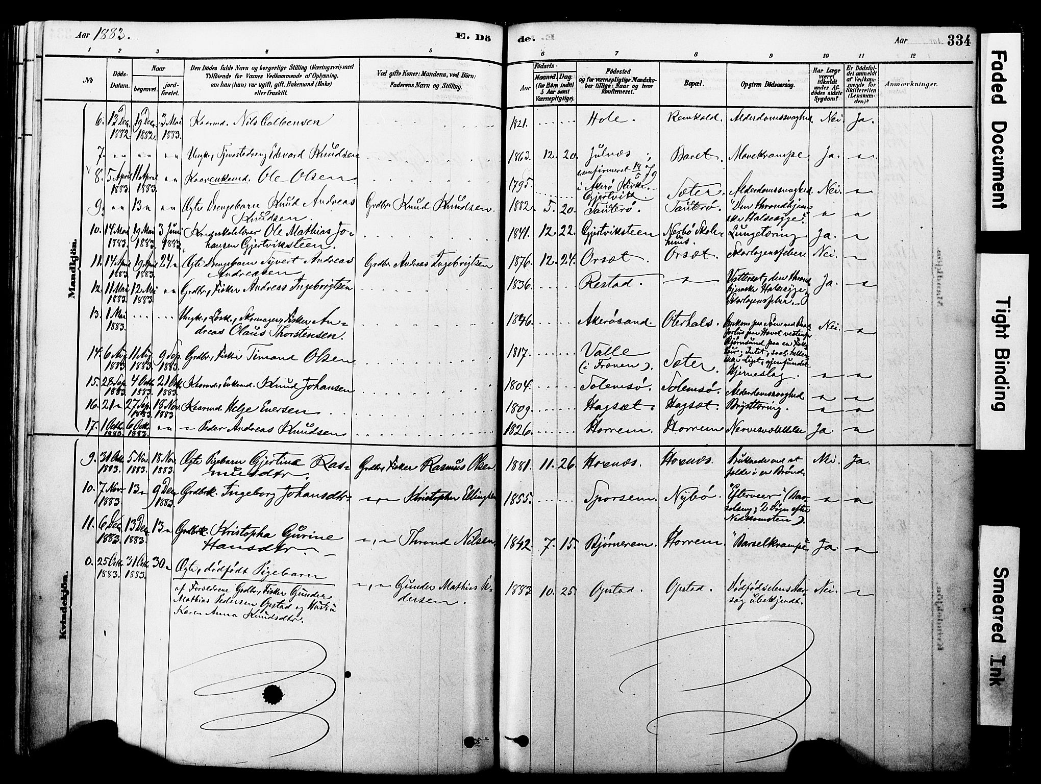 Ministerialprotokoller, klokkerbøker og fødselsregistre - Møre og Romsdal, SAT/A-1454/560/L0721: Parish register (official) no. 560A05, 1878-1917, p. 334