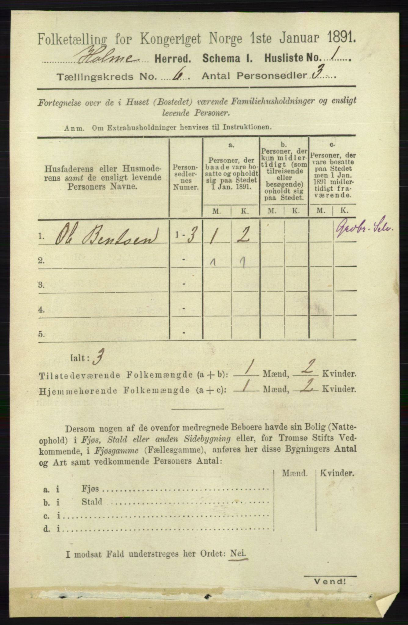 RA, 1891 census for 1020 Holum, 1891, p. 1531