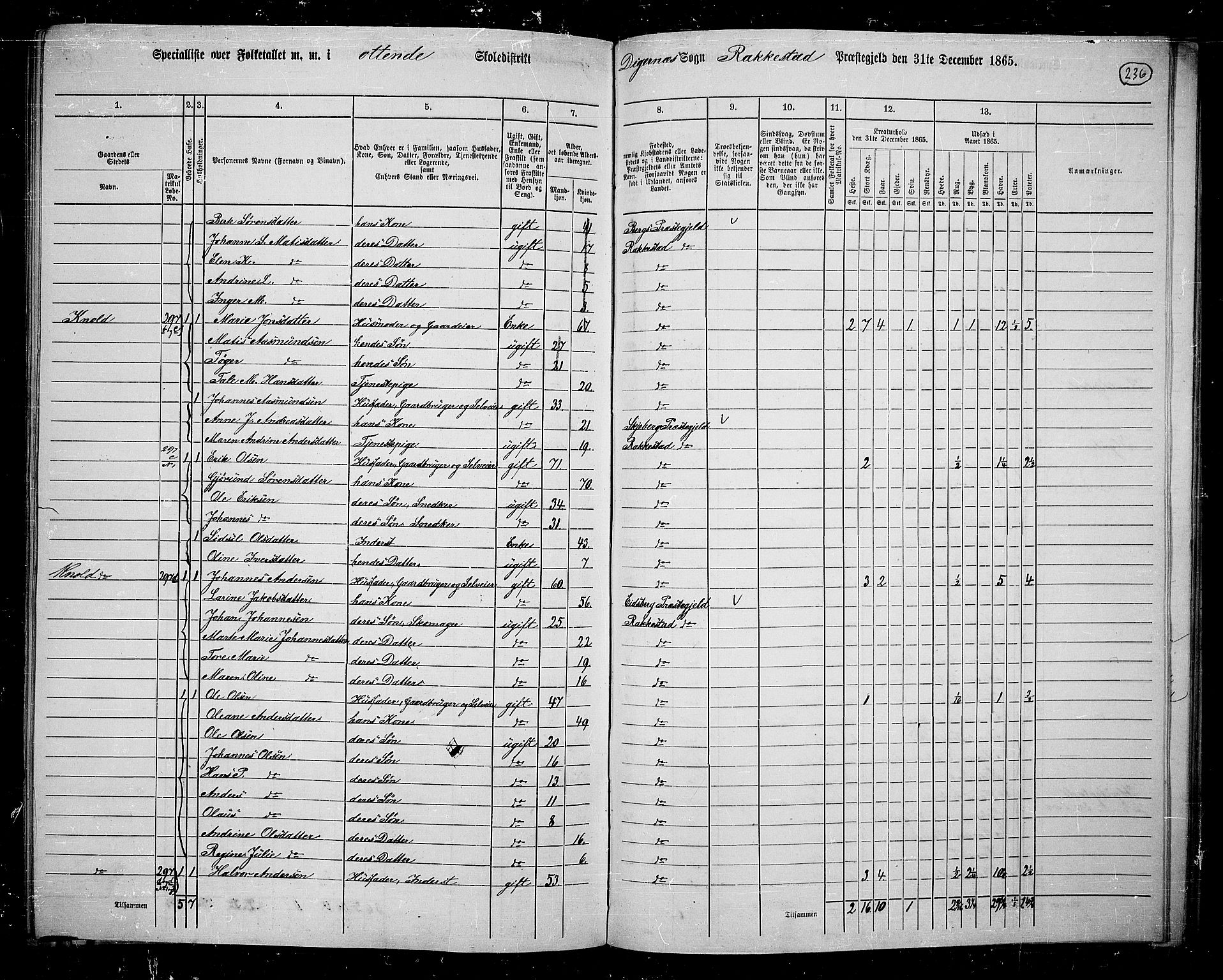 RA, 1865 census for Rakkestad, 1865, p. 227