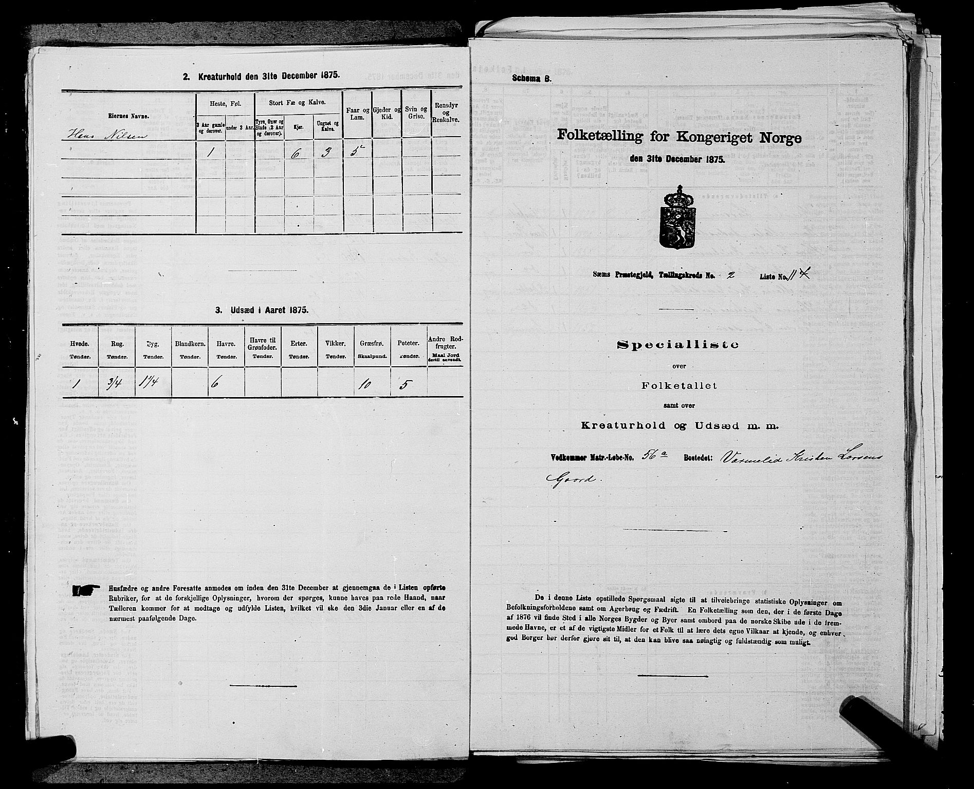SAKO, 1875 census for 0721P Sem, 1875, p. 242