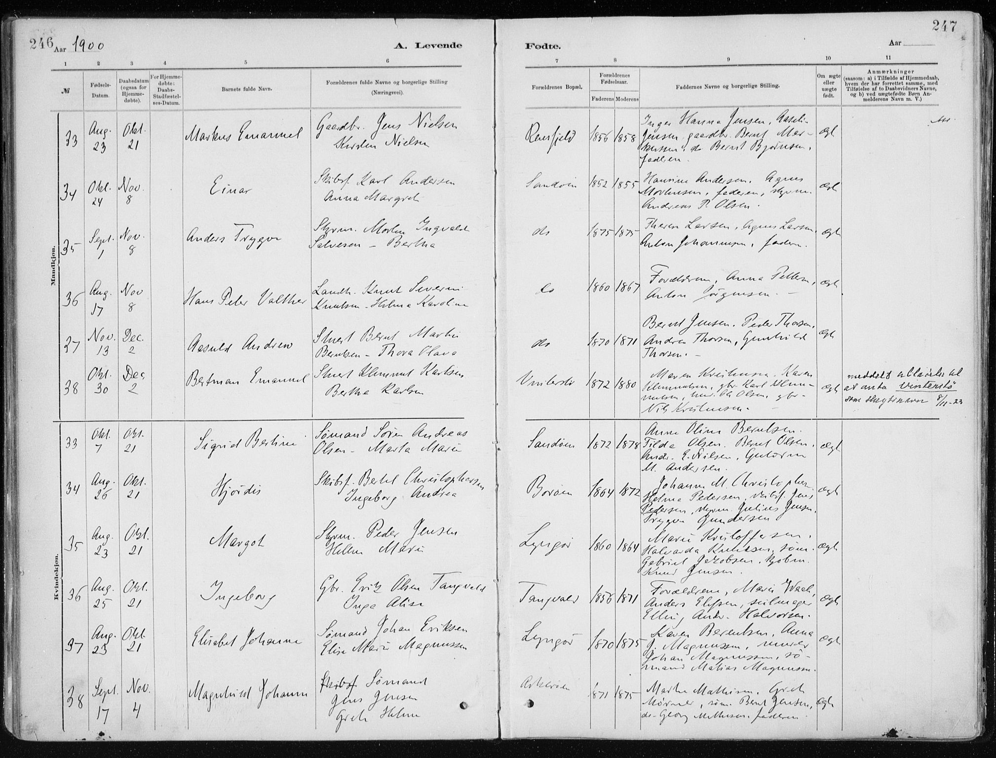 Dypvåg sokneprestkontor, AV/SAK-1111-0007/F/Fa/Faa/L0008: Parish register (official) no. A 8, 1885-1906, p. 246-247