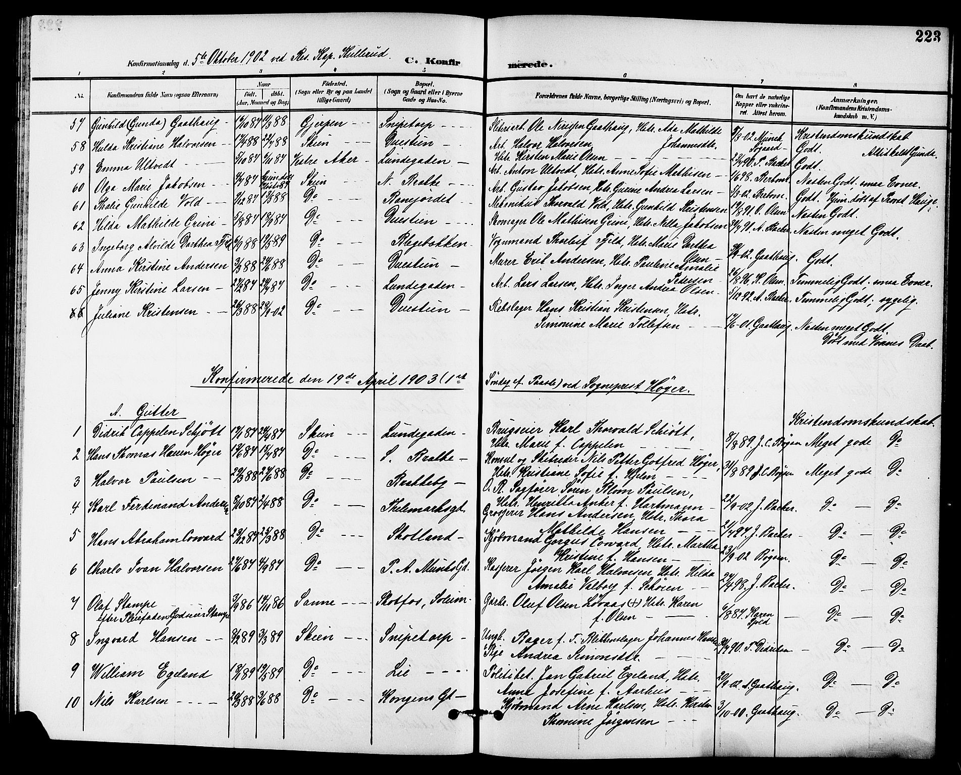 Skien kirkebøker, SAKO/A-302/G/Ga/L0008: Parish register (copy) no. 8, 1900-1910, p. 223