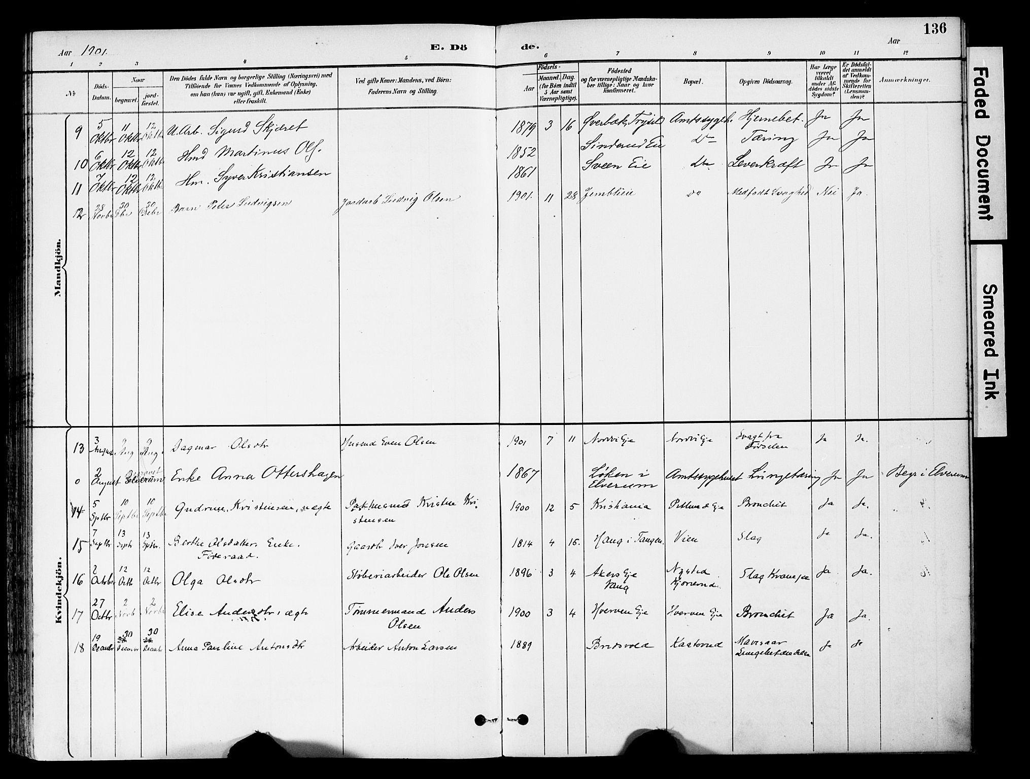 Stange prestekontor, AV/SAH-PREST-002/K/L0021: Parish register (official) no. 21, 1891-1902, p. 136