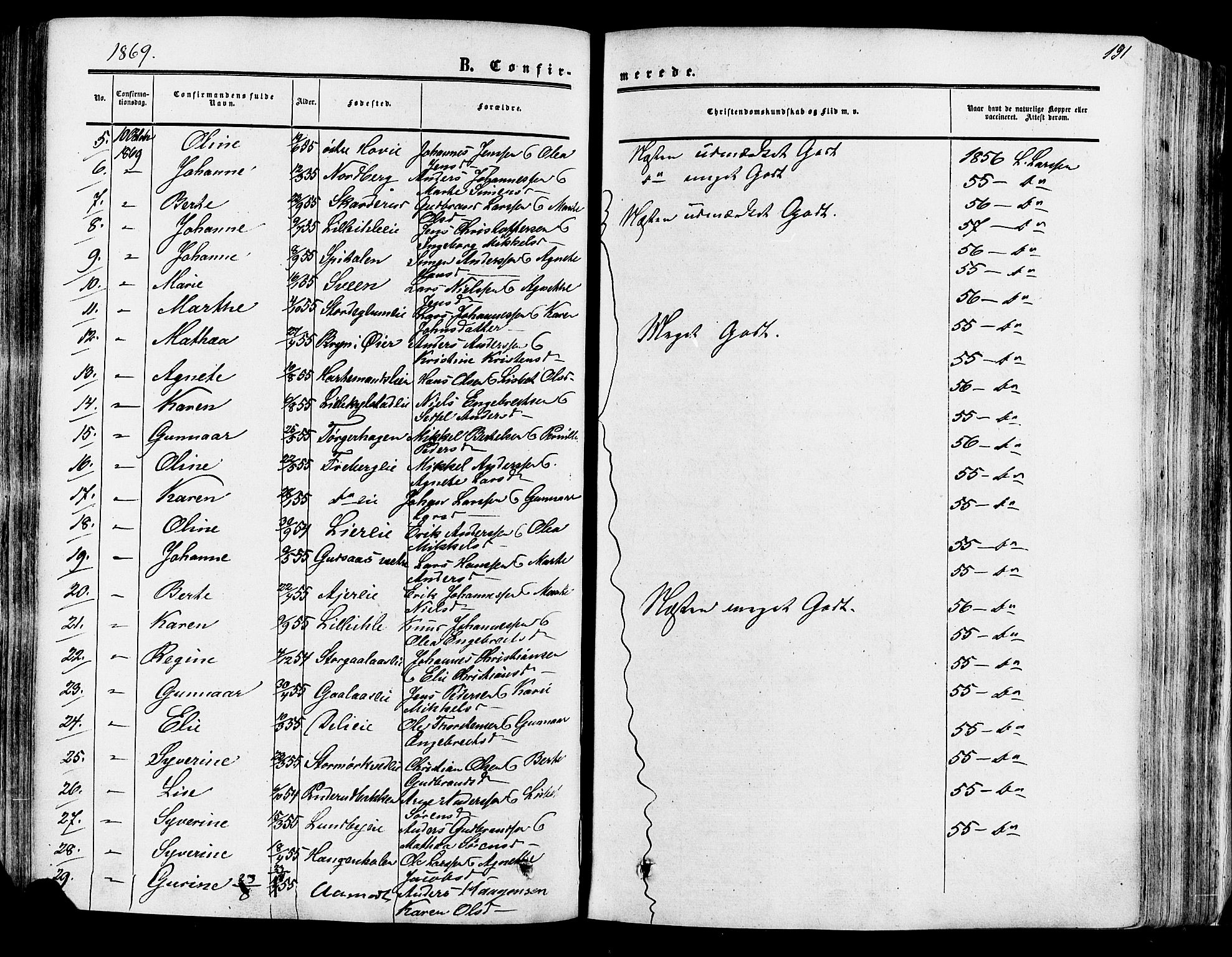 Vang prestekontor, Hedmark, SAH/PREST-008/H/Ha/Haa/L0013: Parish register (official) no. 13, 1855-1879, p. 191