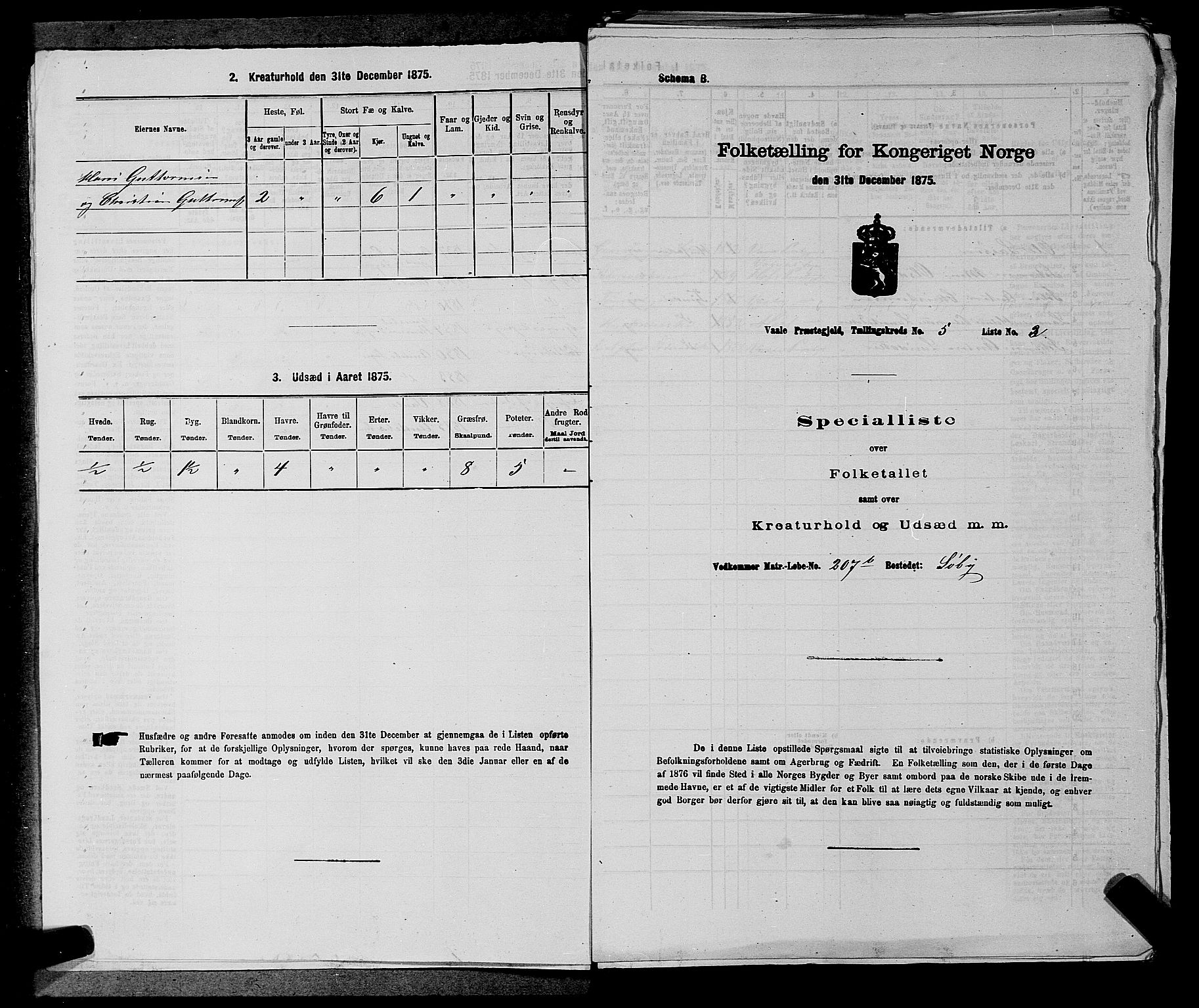 SAKO, 1875 census for 0716P Våle, 1875, p. 673