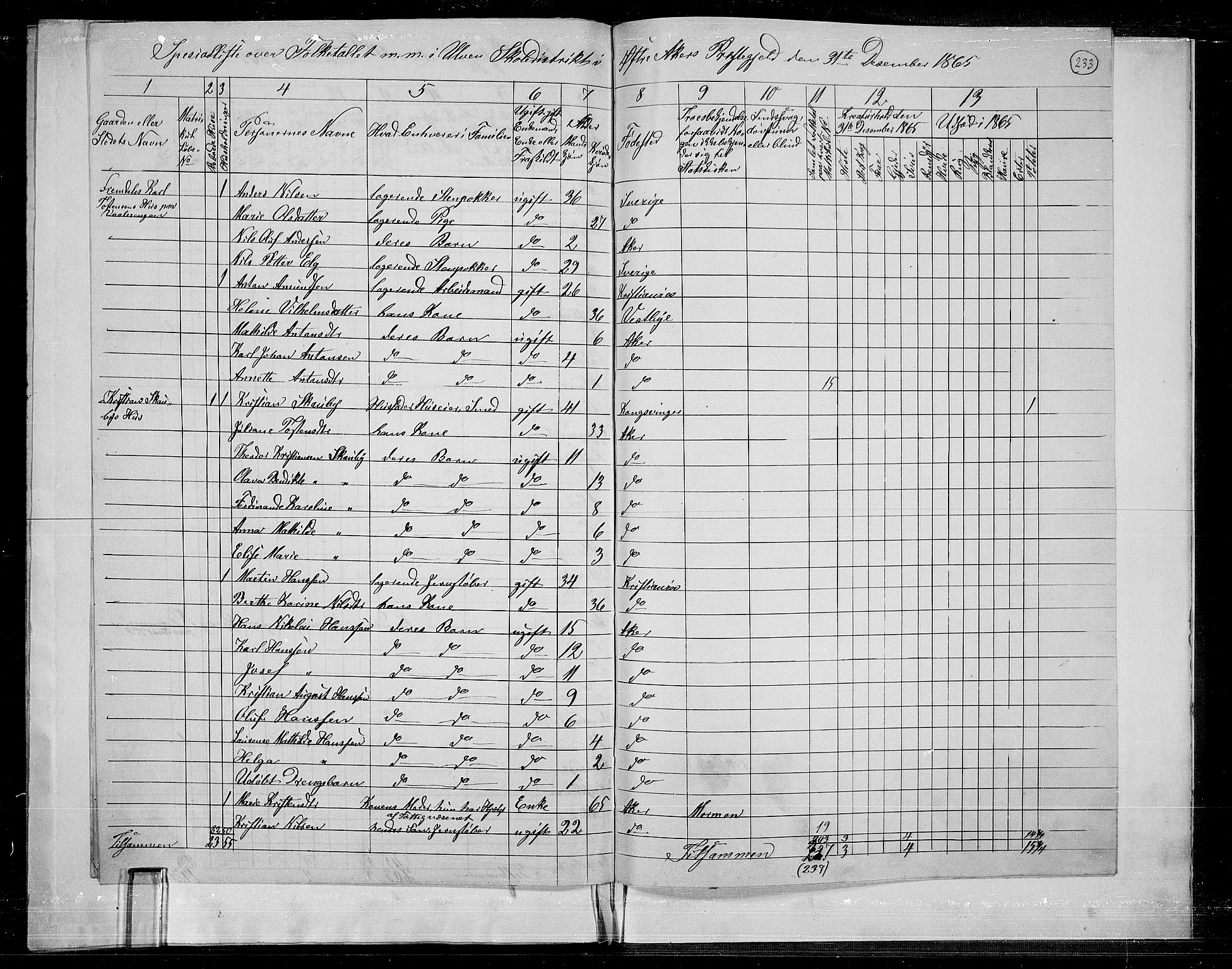 RA, 1865 census for Østre Aker, 1865, p. 219