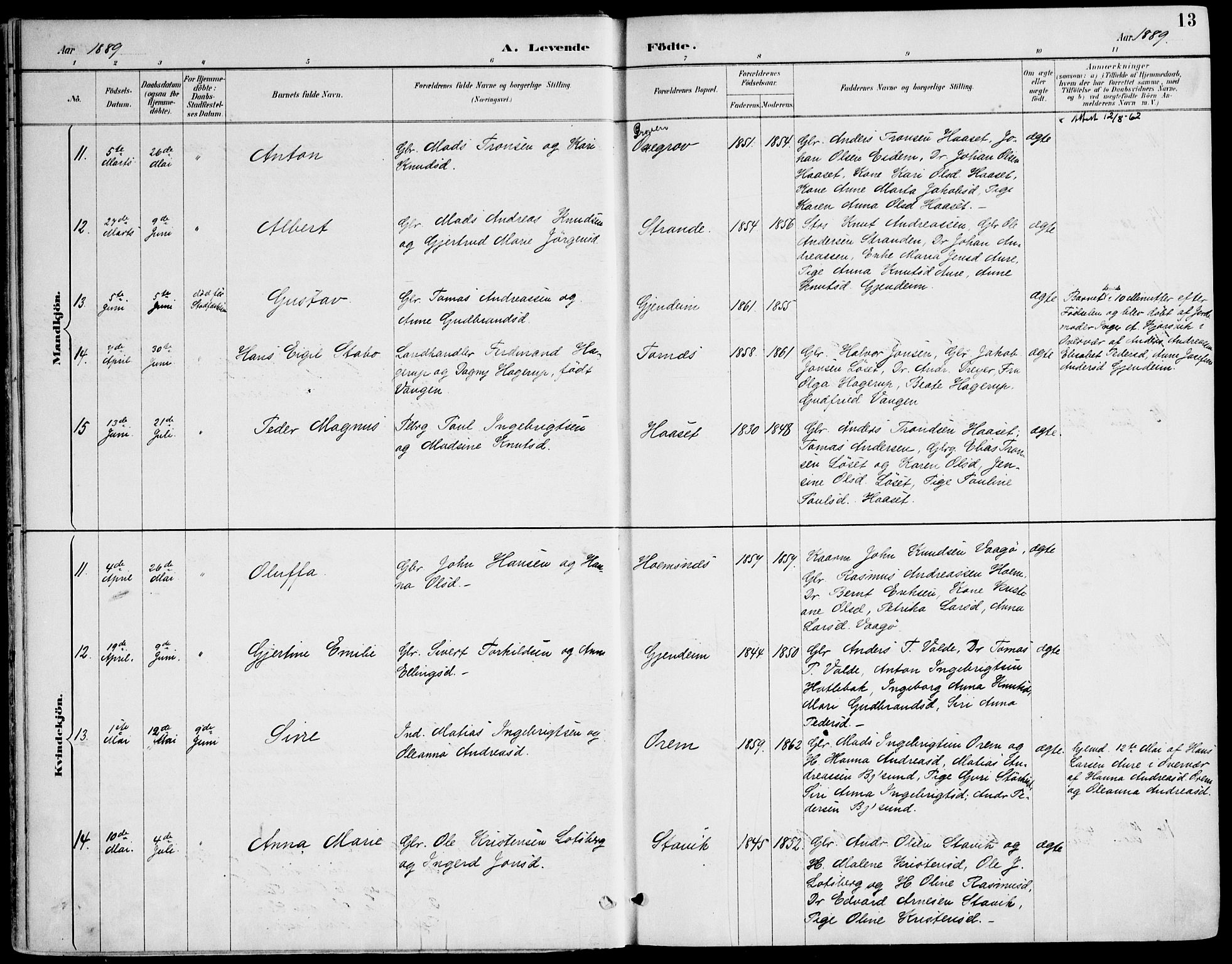 Ministerialprotokoller, klokkerbøker og fødselsregistre - Møre og Romsdal, AV/SAT-A-1454/565/L0750: Parish register (official) no. 565A04, 1887-1905, p. 13