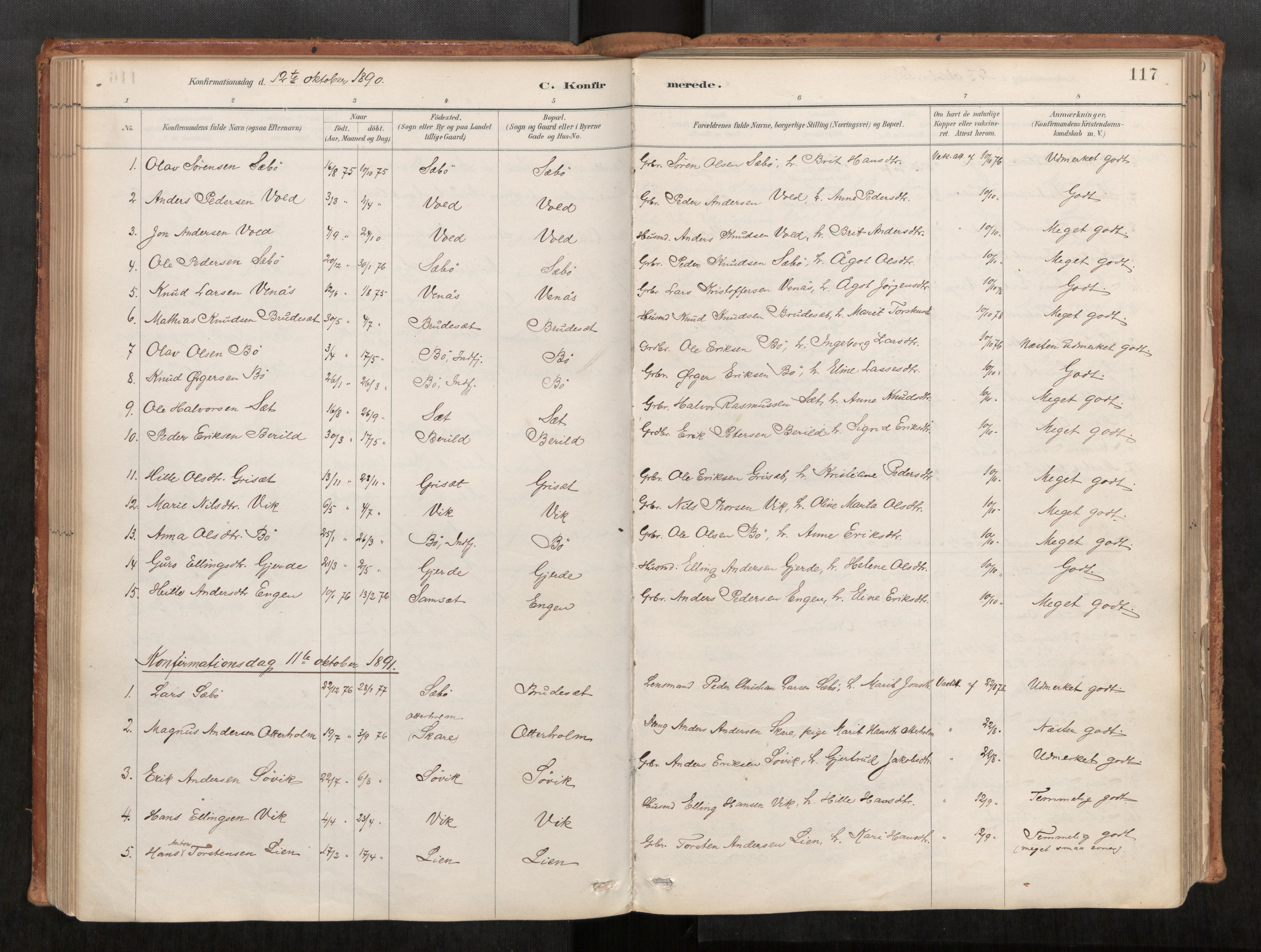 Ministerialprotokoller, klokkerbøker og fødselsregistre - Møre og Romsdal, AV/SAT-A-1454/543/L0568: Parish register (official) no. 543A03, 1885-1915, p. 117