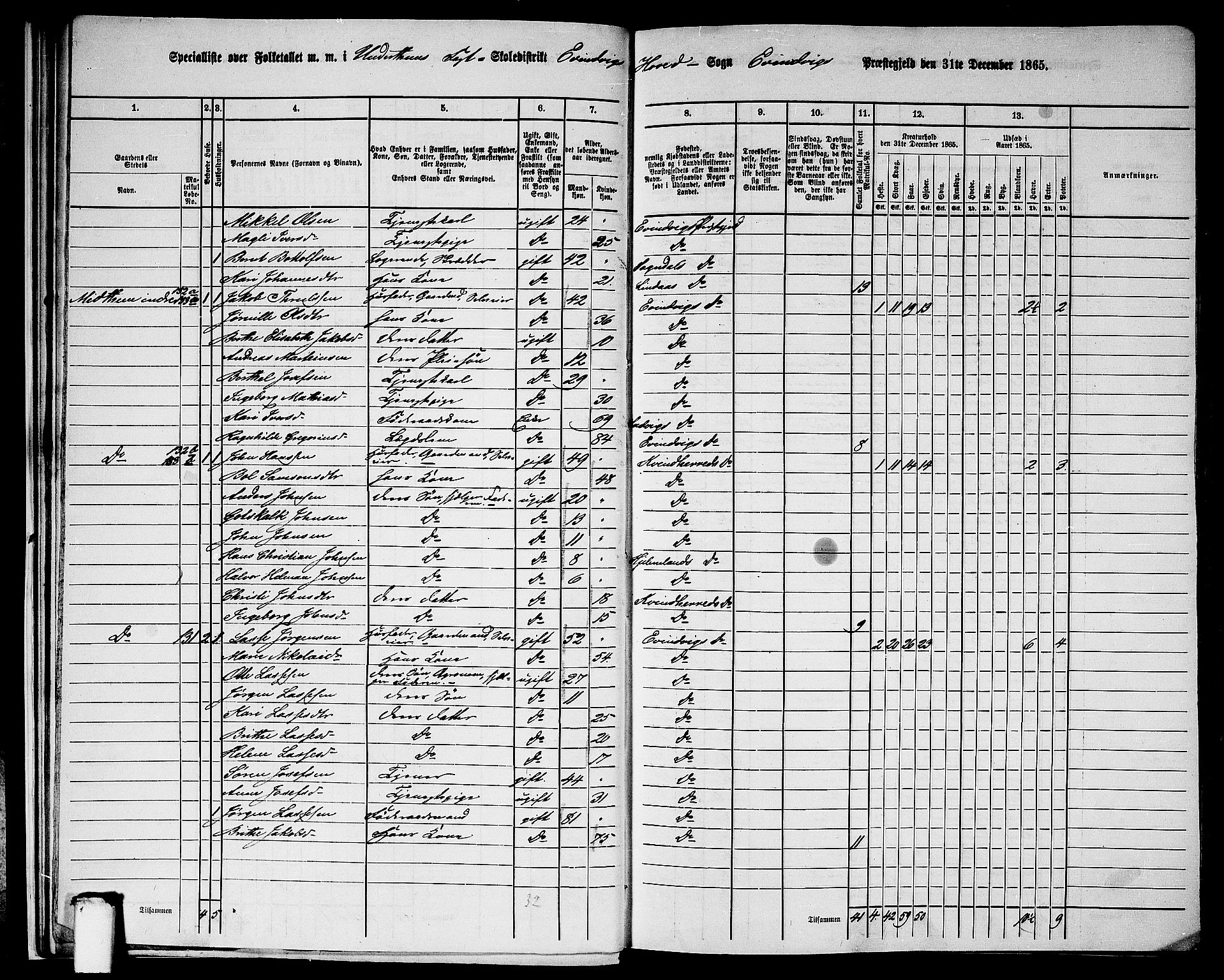 RA, 1865 census for Eivindvik, 1865, p. 21