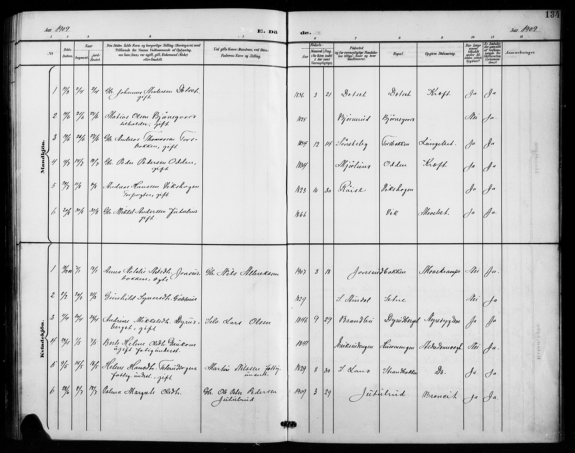 Vestre Toten prestekontor, SAH/PREST-108/H/Ha/Hab/L0016: Parish register (copy) no. 16, 1901-1915, p. 134